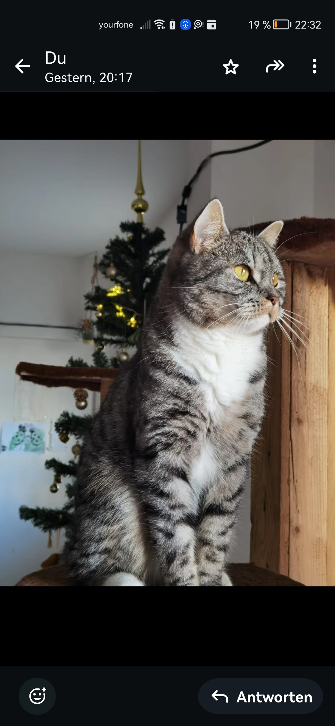 Findus - Wilhelm-Hoff-Straße, Berlin