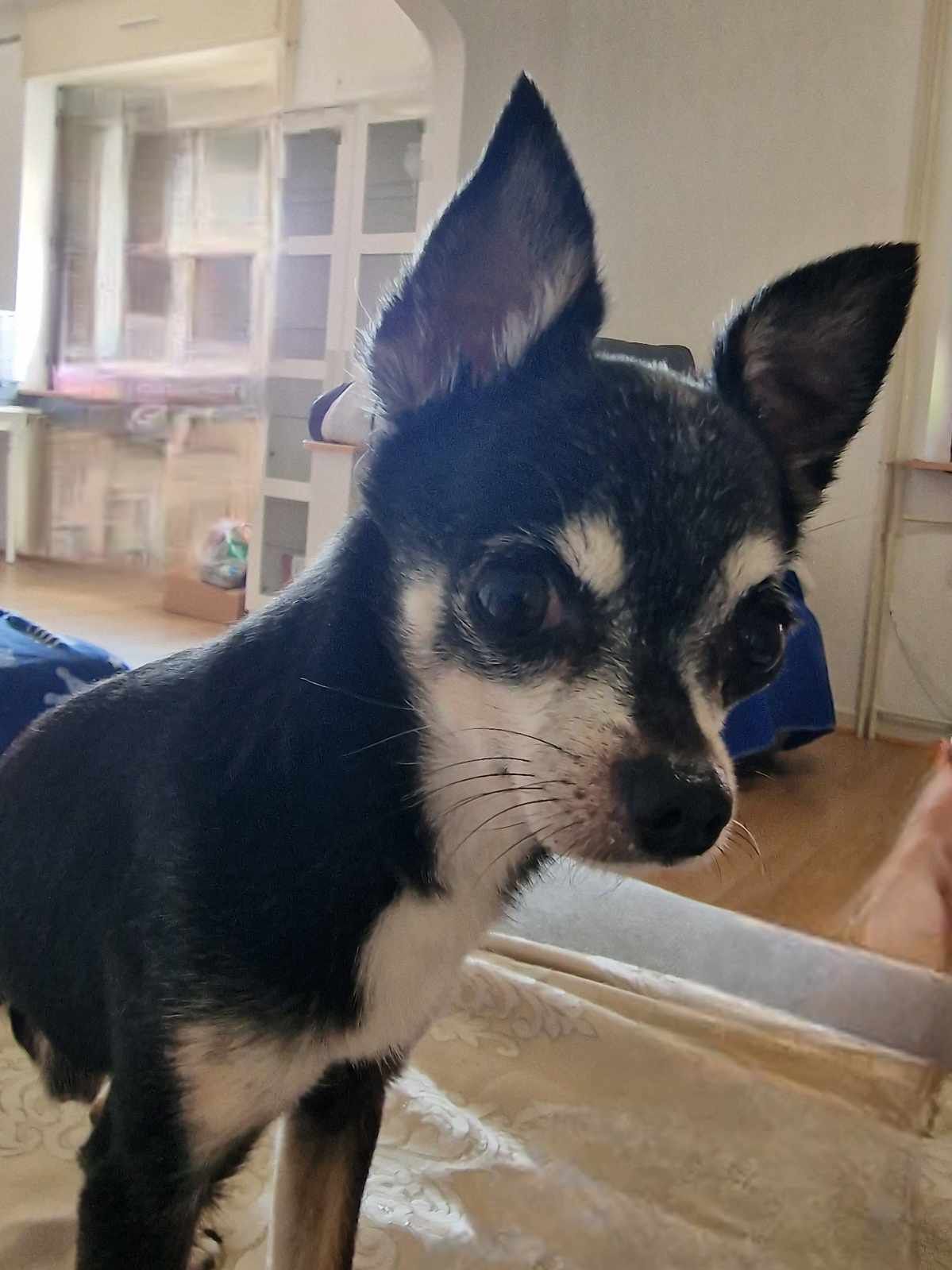 Junior  - Rue Du Jura, Strasbourg