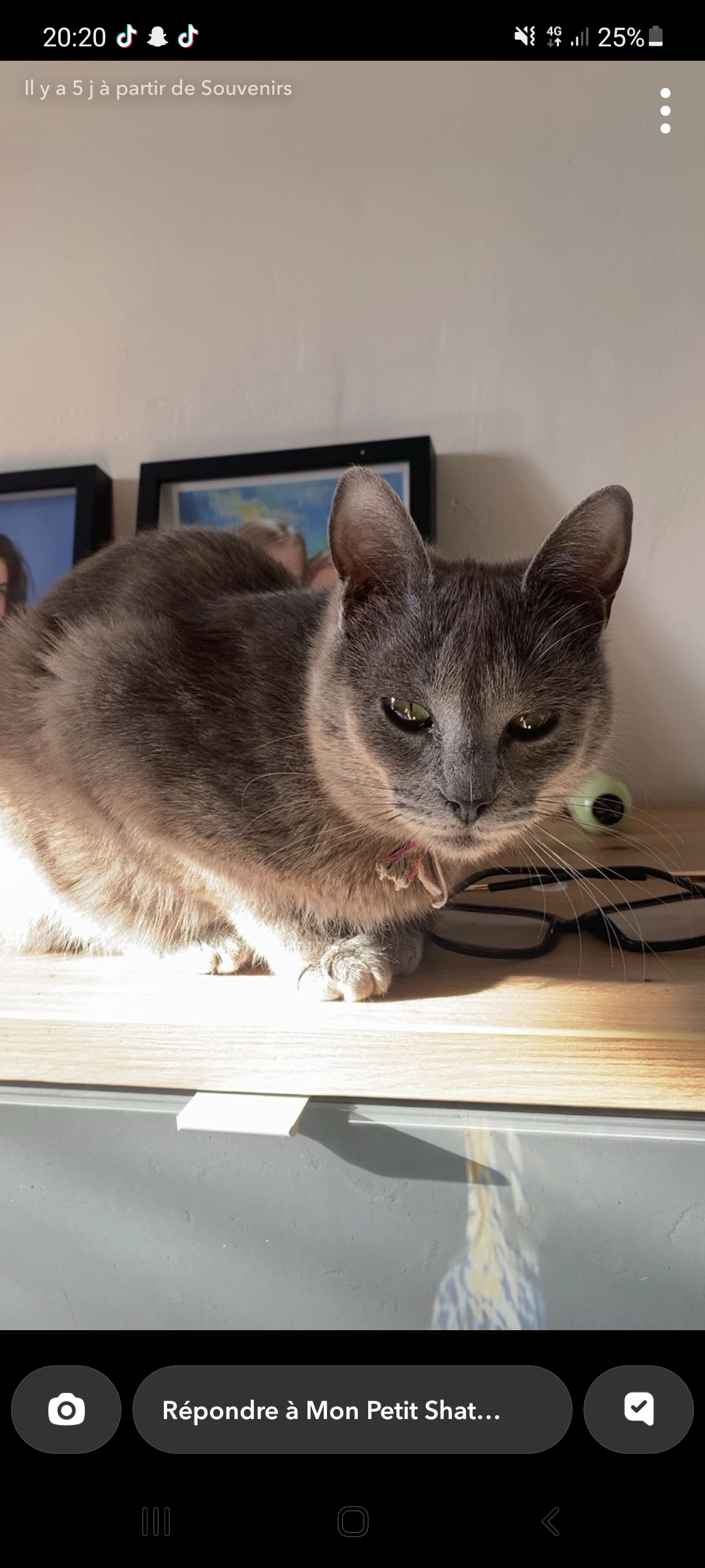 Malheureuse - 101 Rue Anatole France, Lodève