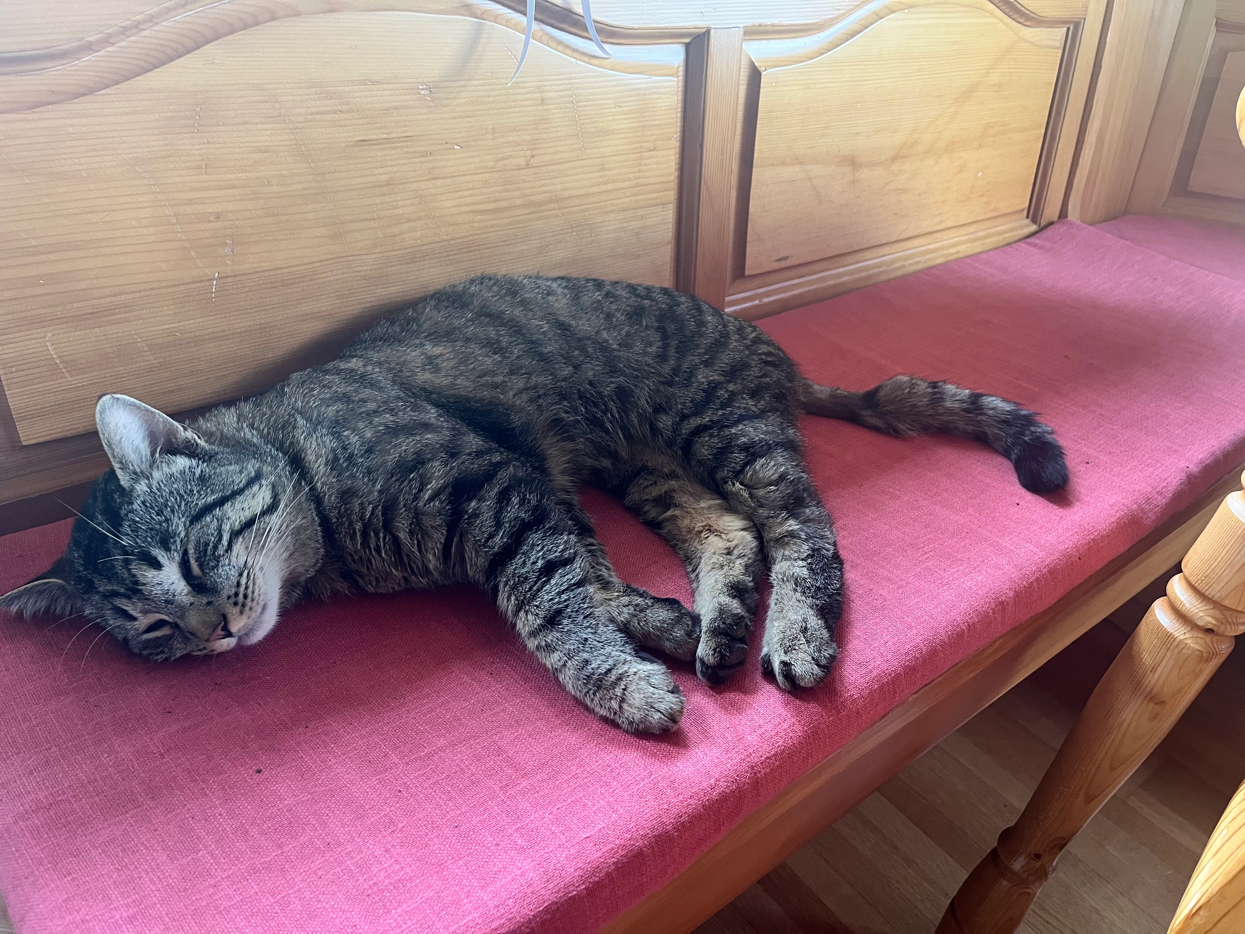 Norbert - Engstligenstrasse, Adelboden