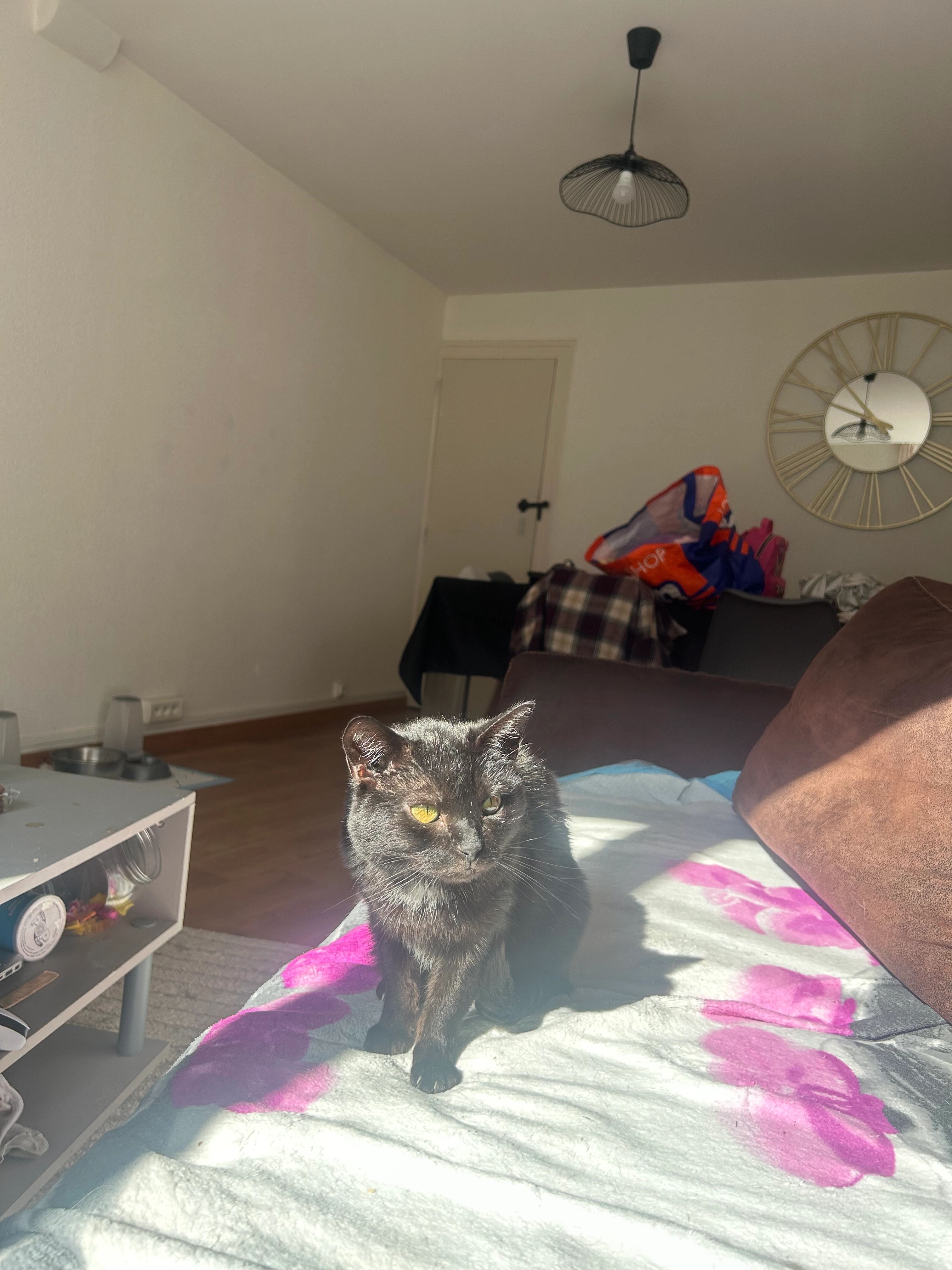 Minerva  - 4 Rue du Martroi, Beaugency