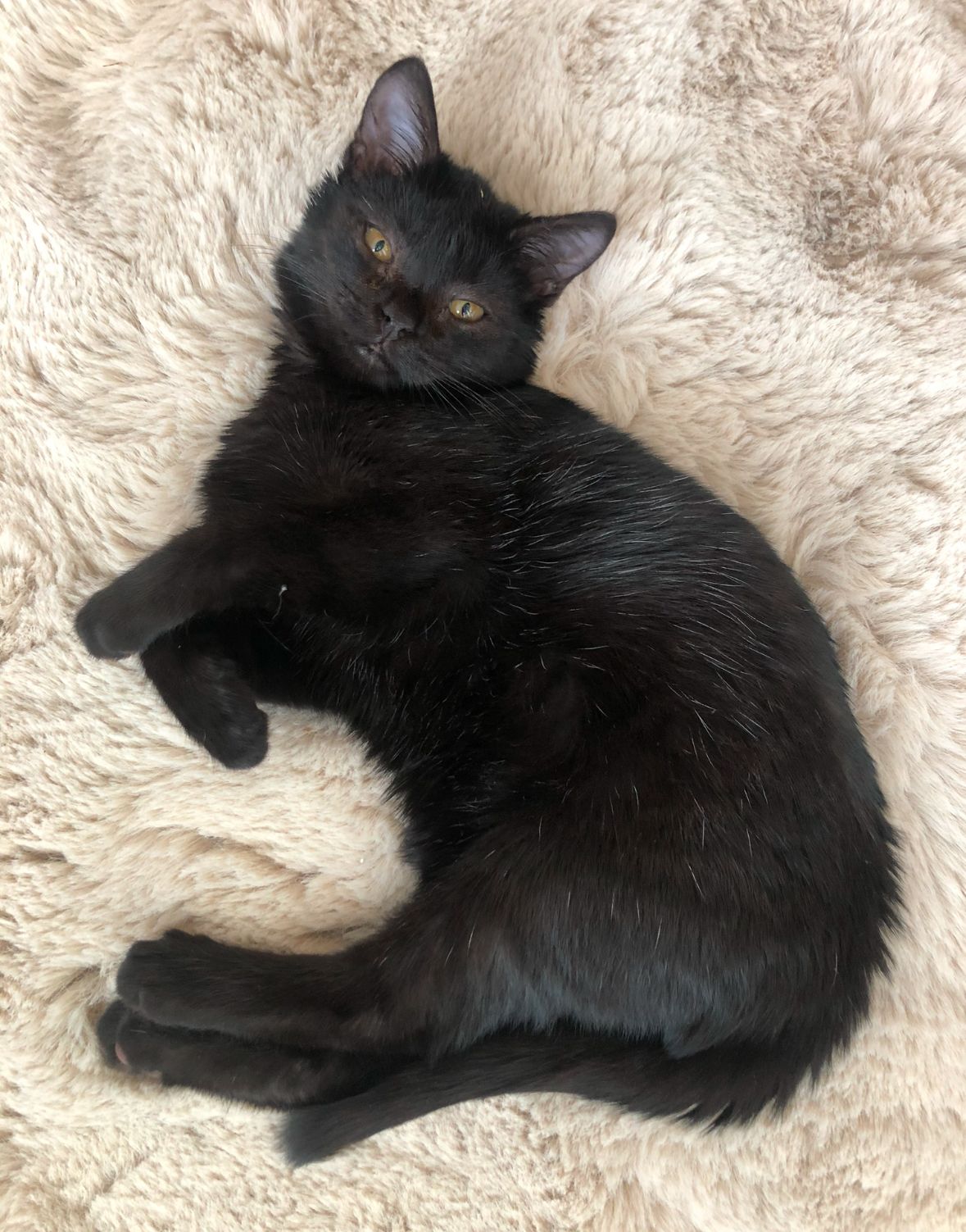 Ninja - Schulstraße, Zell am See