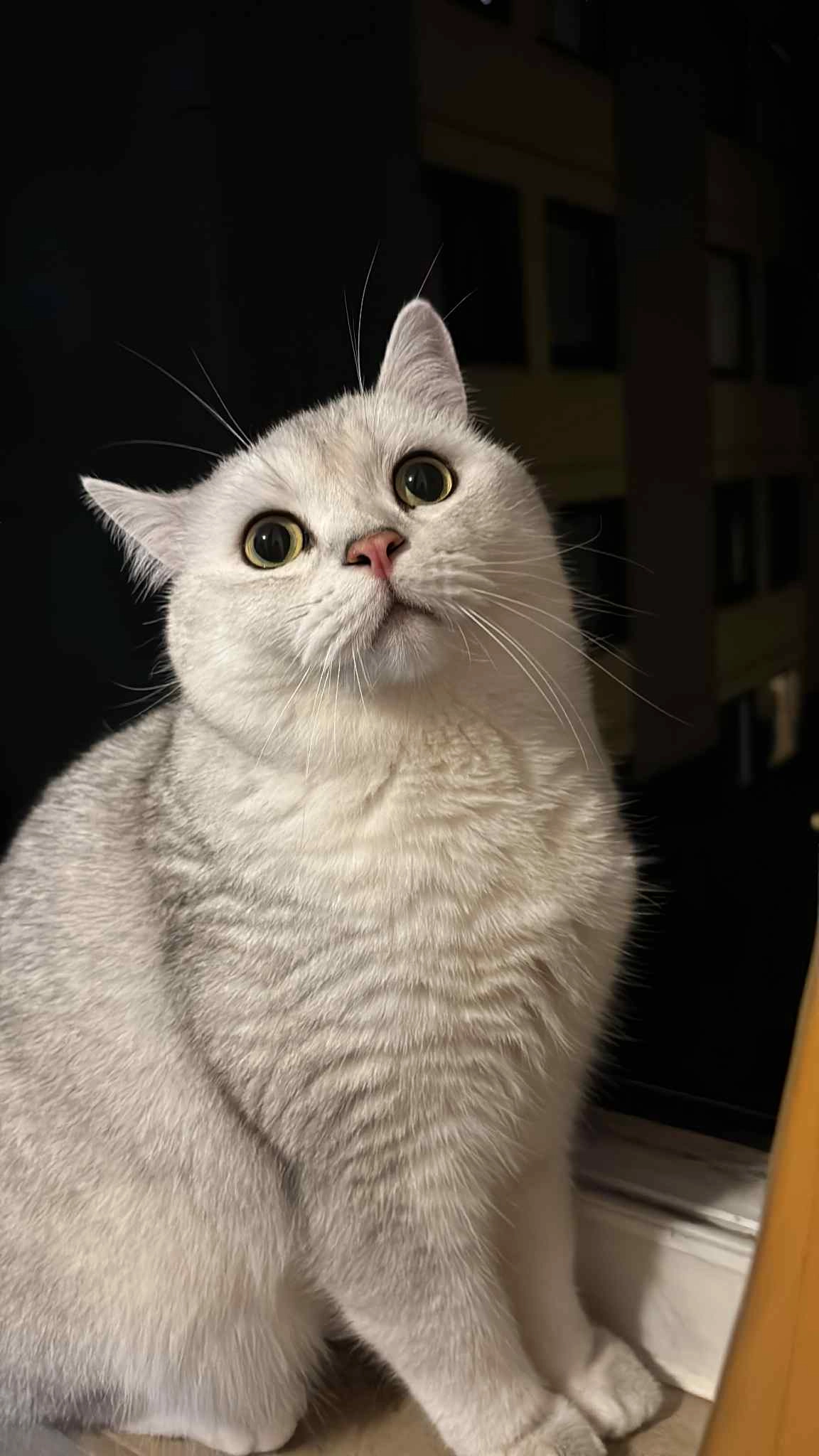 nomnom - Am Gonsenheimer Spieß, Mainz