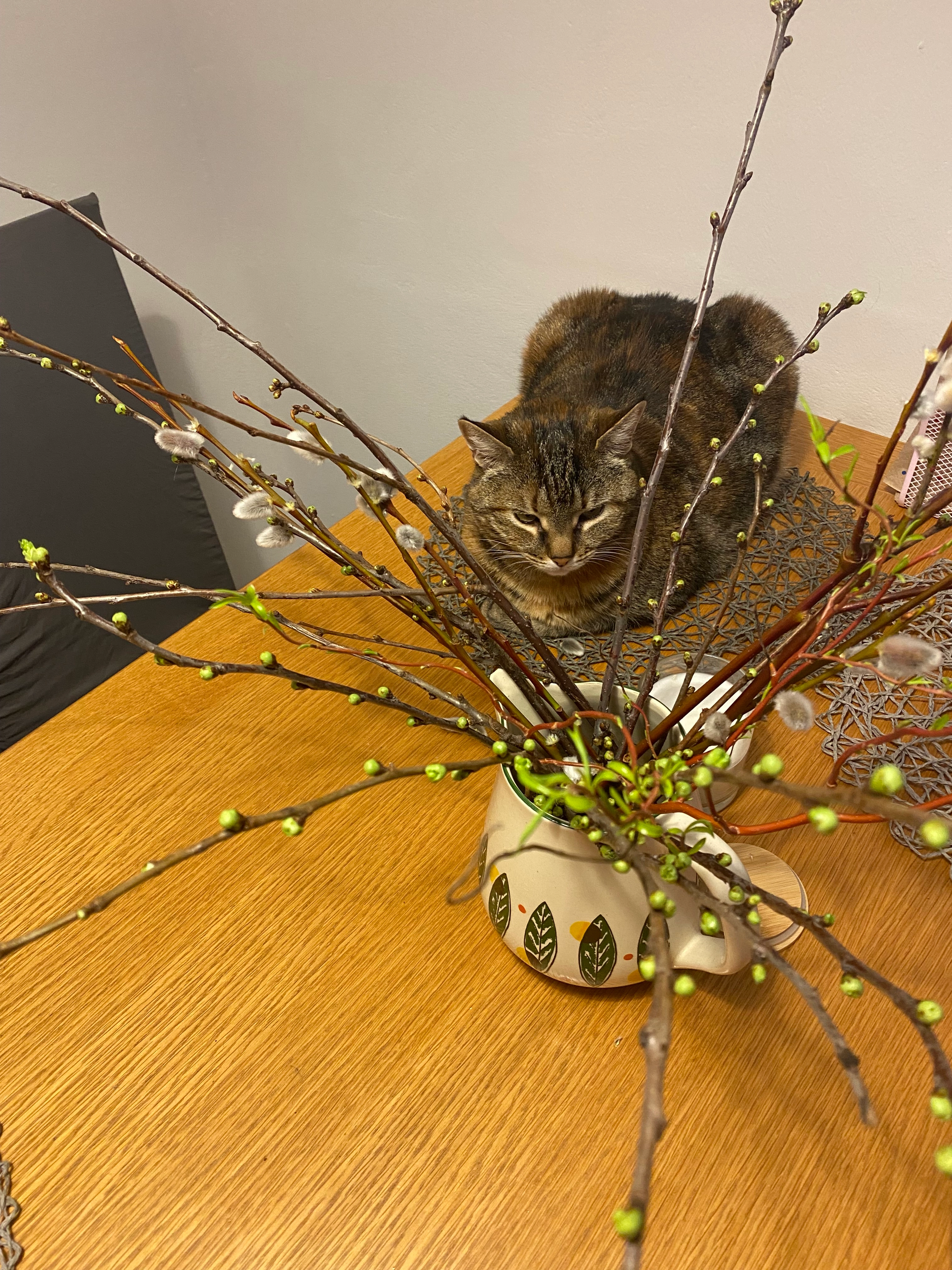 Sally - Fichtholz, Holzkirchen