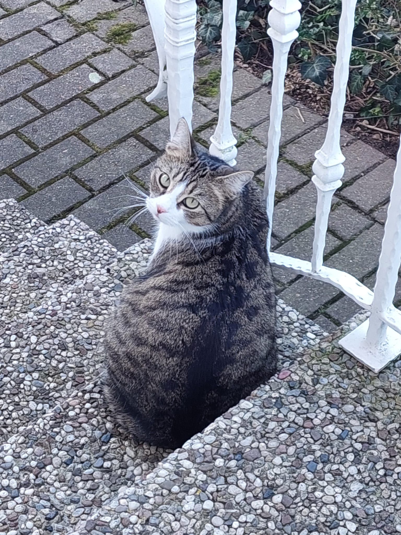 Gigi - Brinkstraße, Barsinghausen