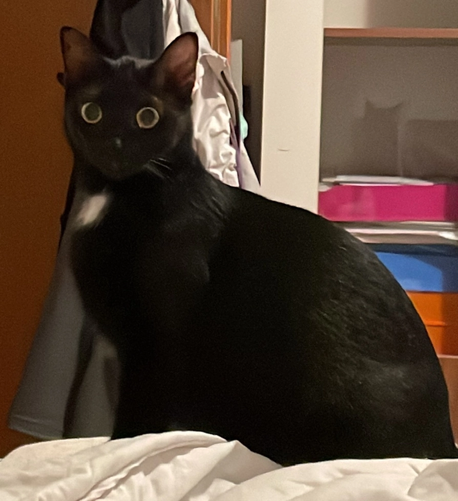 Nala - Tückelhäuser Straße, Ochsenfurt