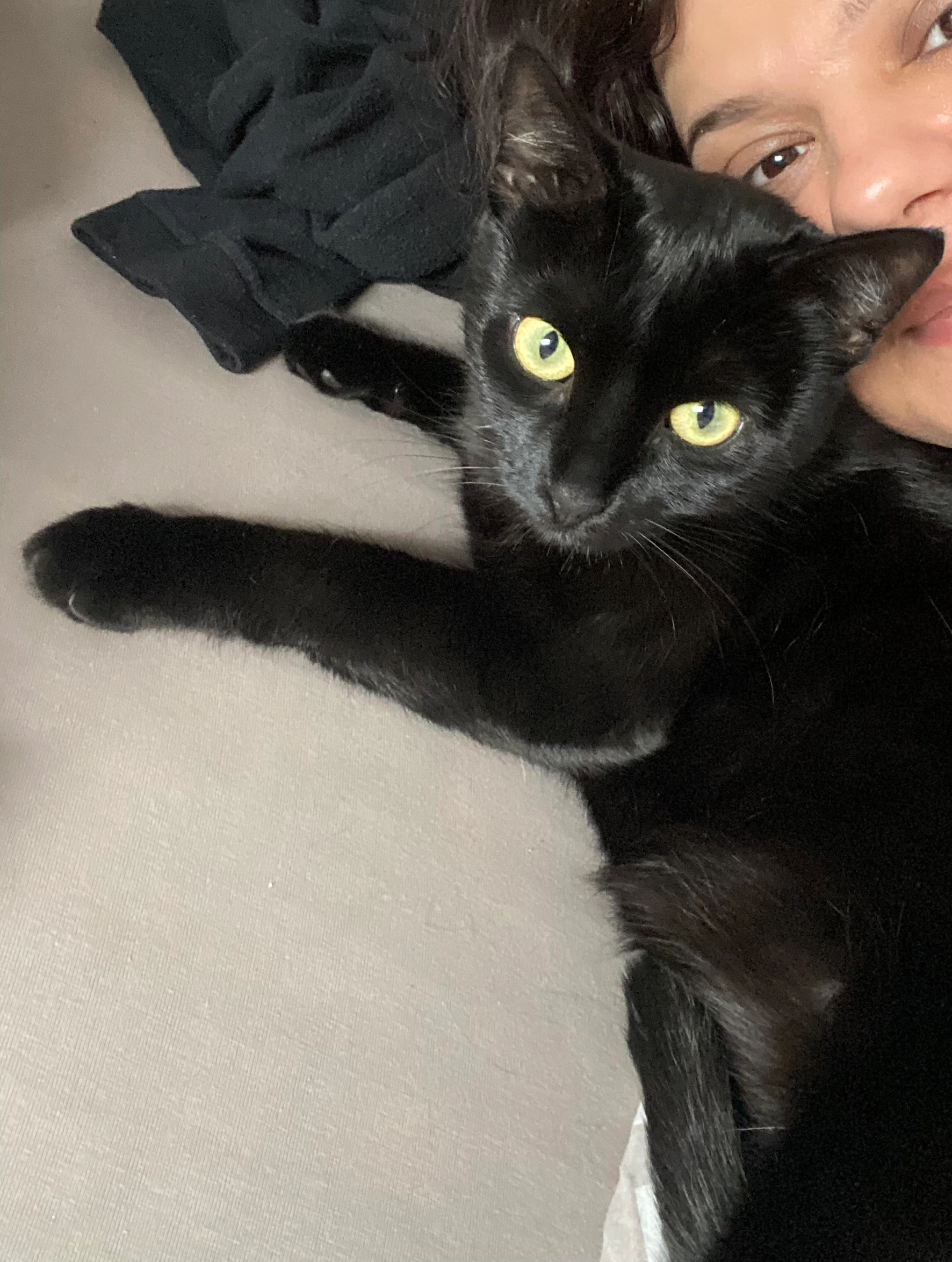 Nala - Im Winkel, Delligsen