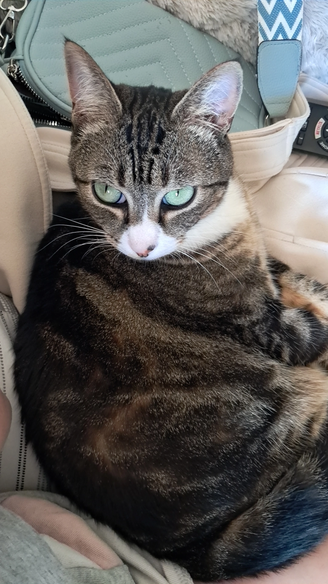 Nidalee  - Route de Sainte-Sève, Saint-Martin-des-Champs