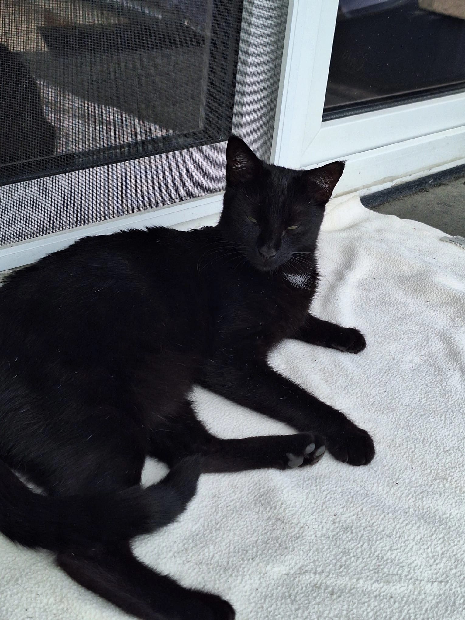 Nala - Nettgendorfer Weg 3, Nuthe-Urstromtal