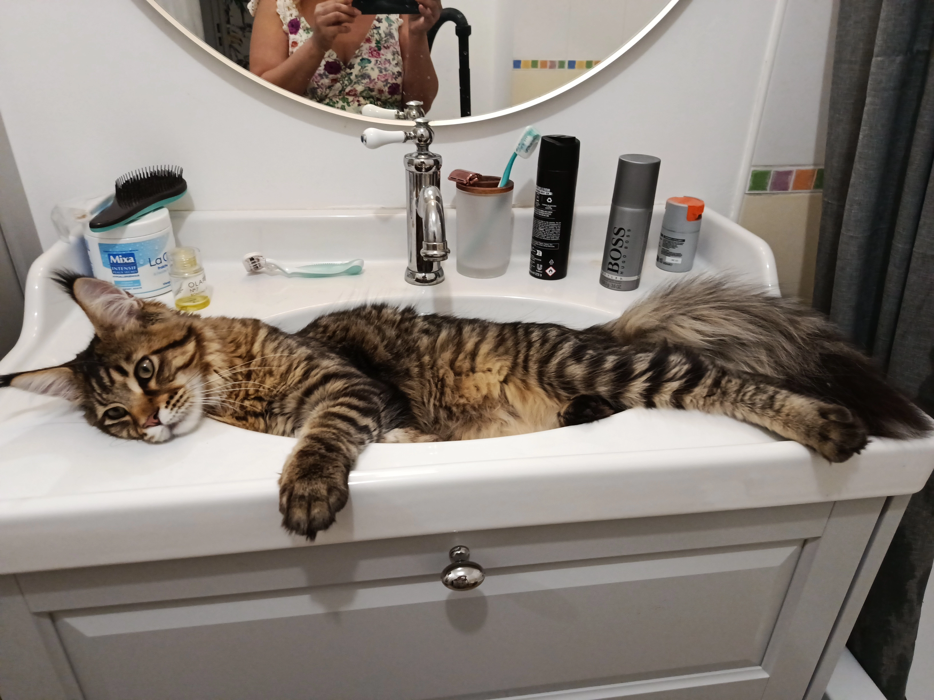 Viking - 4 Rue des Fosses, Buxy