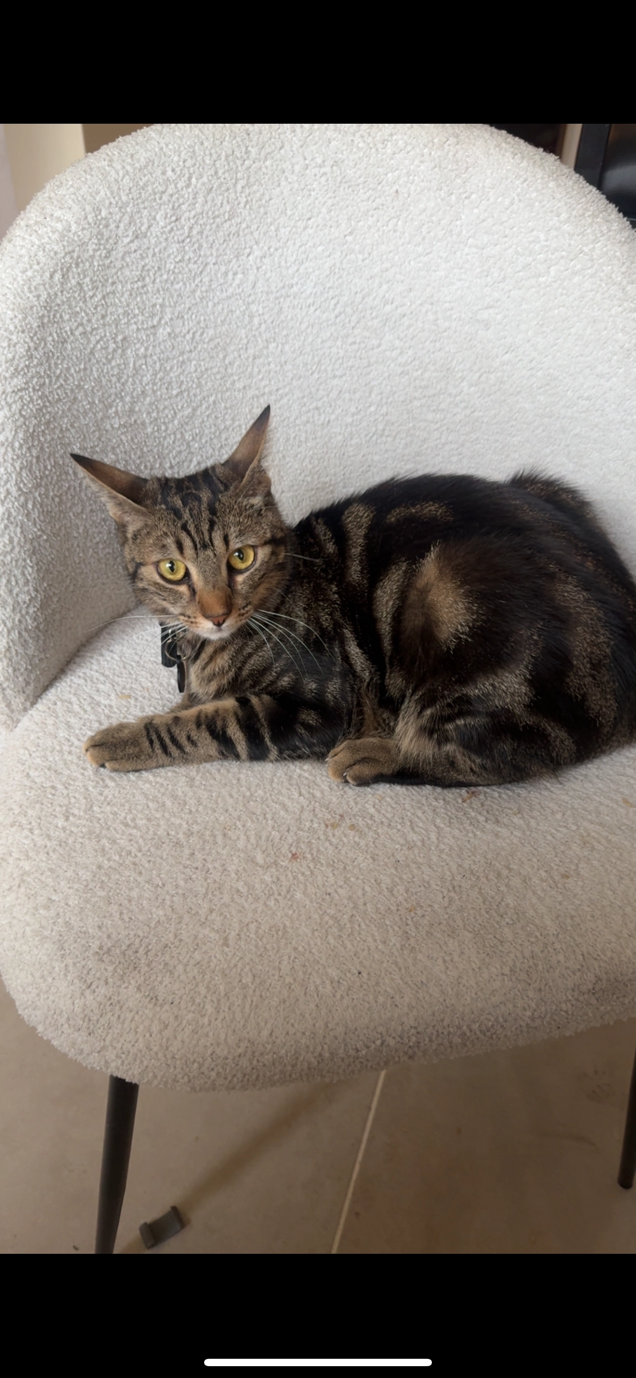 Kiko - 208 Rue des Martyrs, Voreppe