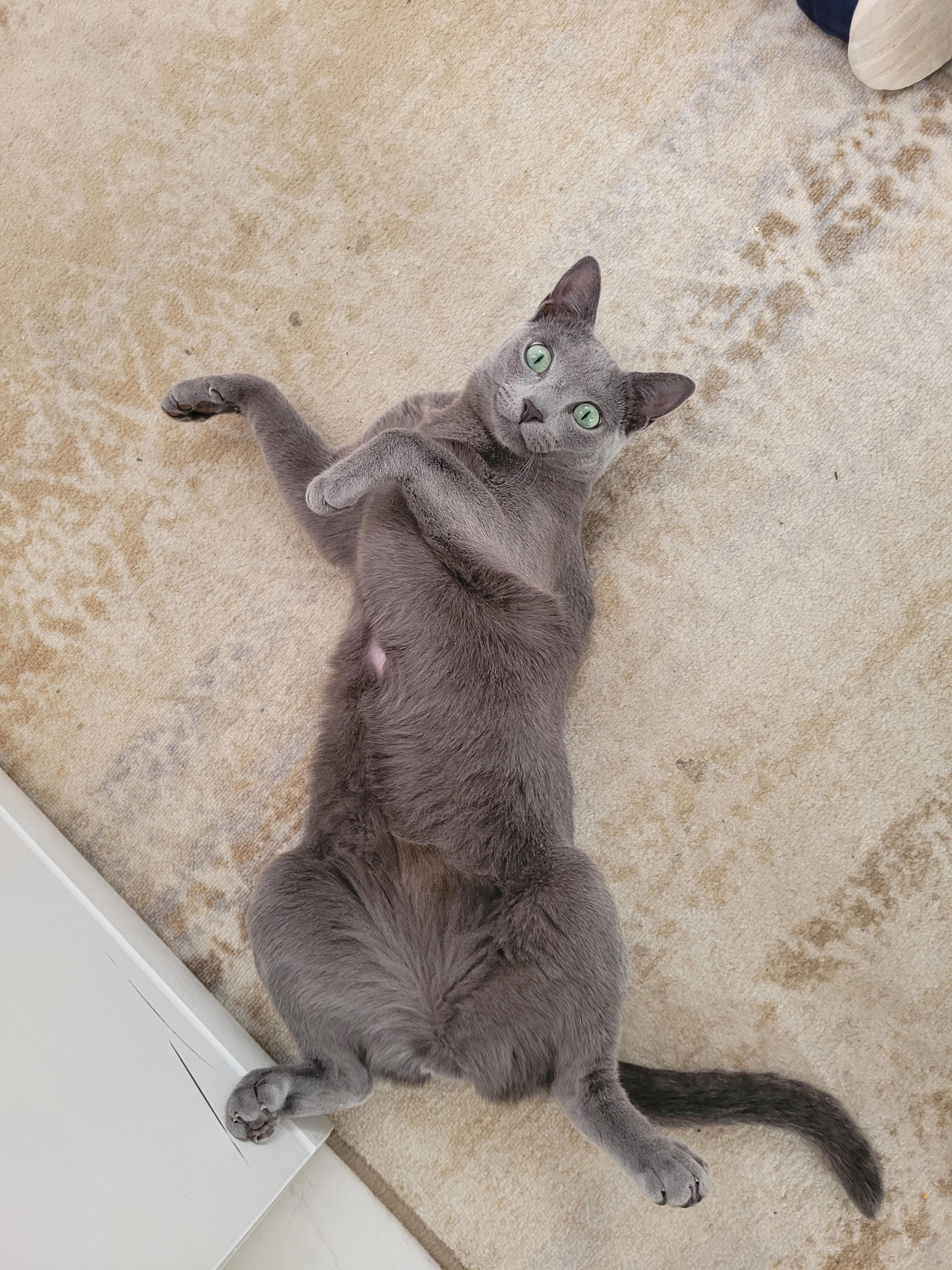 Kai  - Mecklenburger Straße, Schwalbach am Taunus