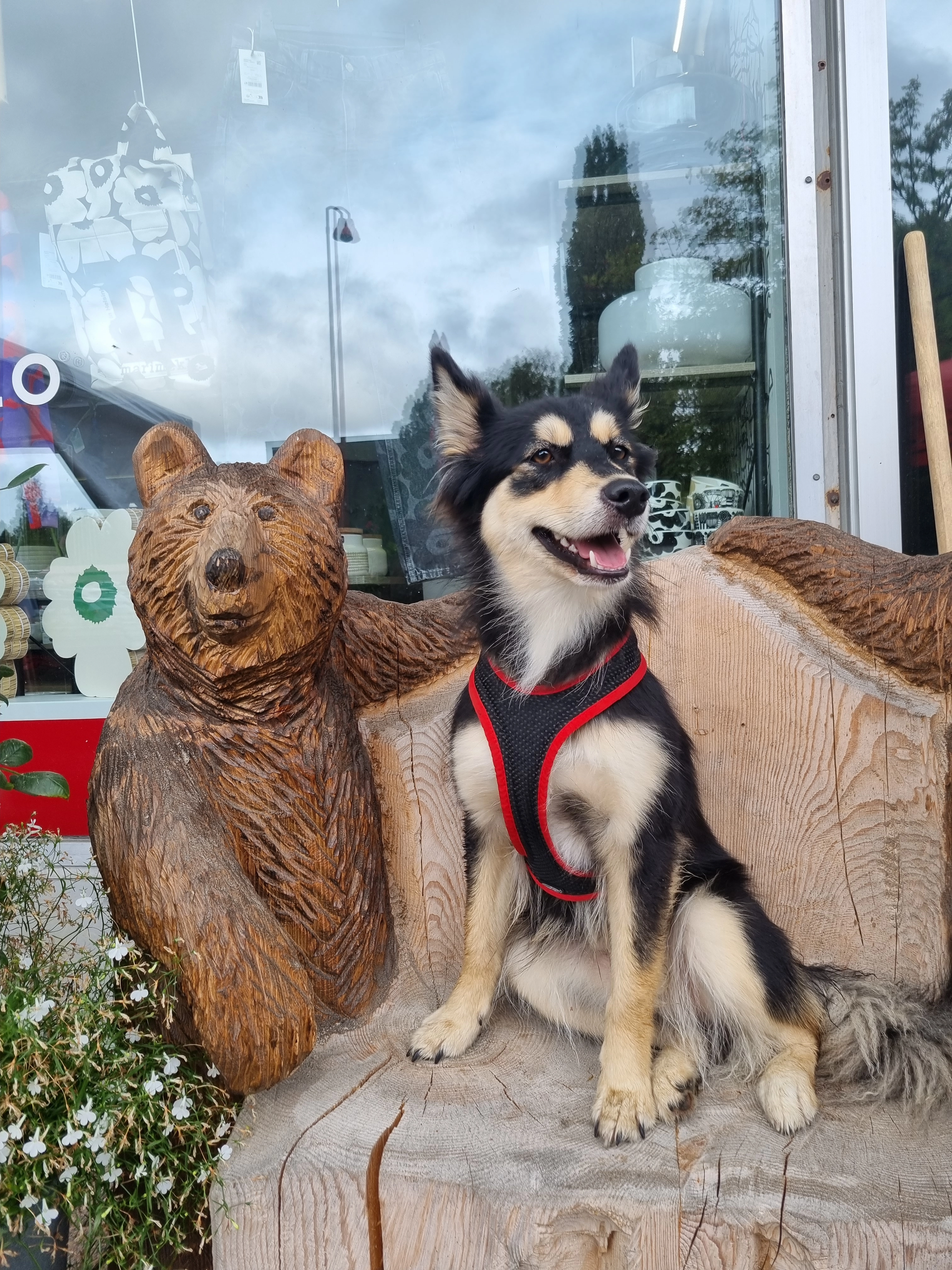 Viena  ( Mainikka-Beana Sorja) - Oberer Zielweg 11, Dornach