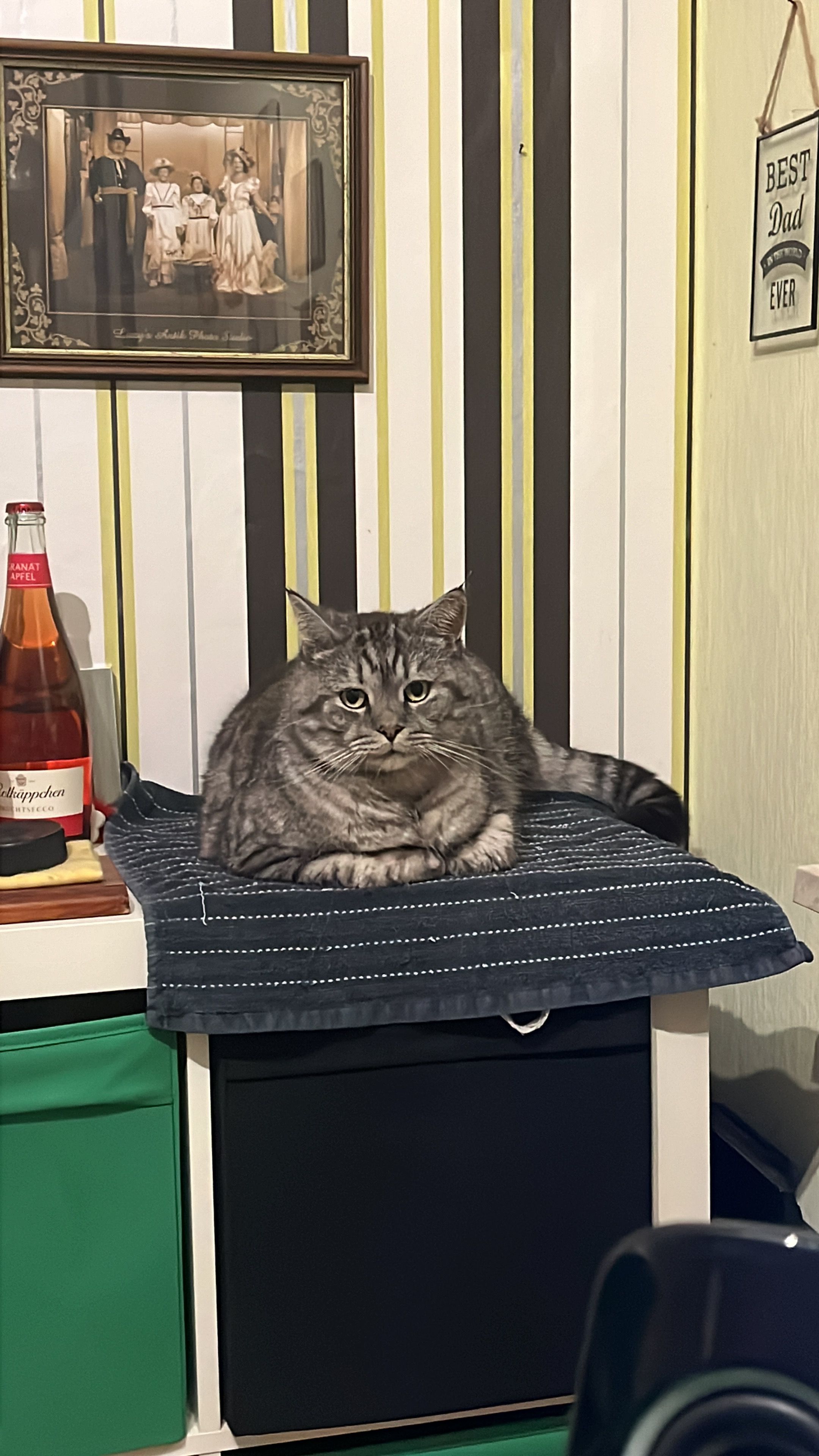 Teddy - Im Lachtetal, Lachendorf