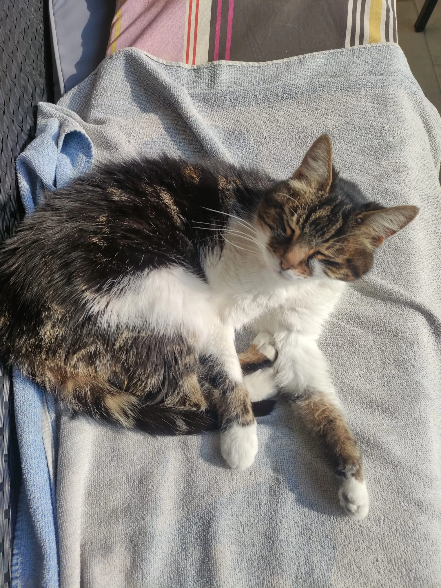 Giga  - Rue de la Symphonie, Hyères