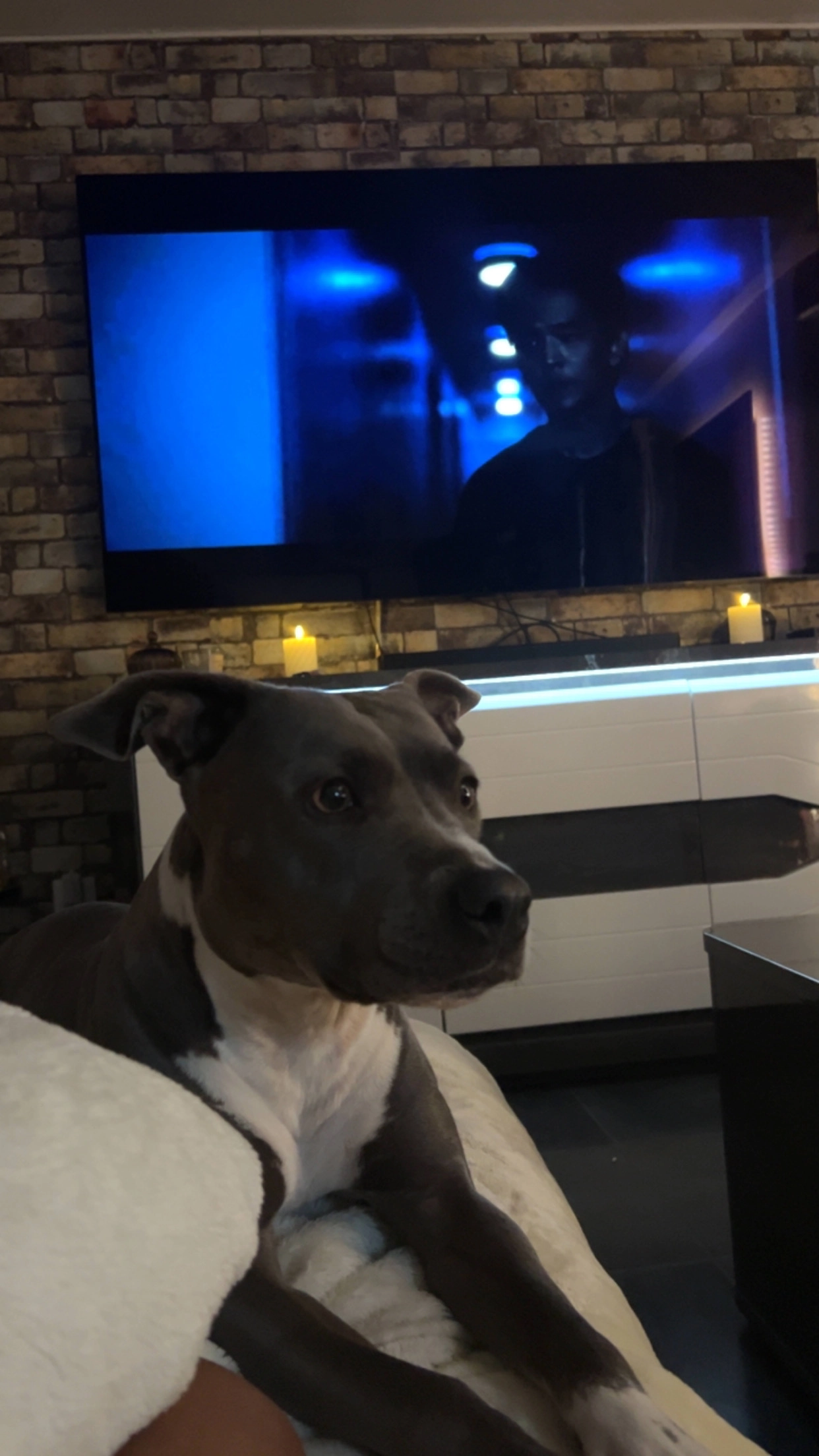 Nala  - Rue Calmette, Plaisir