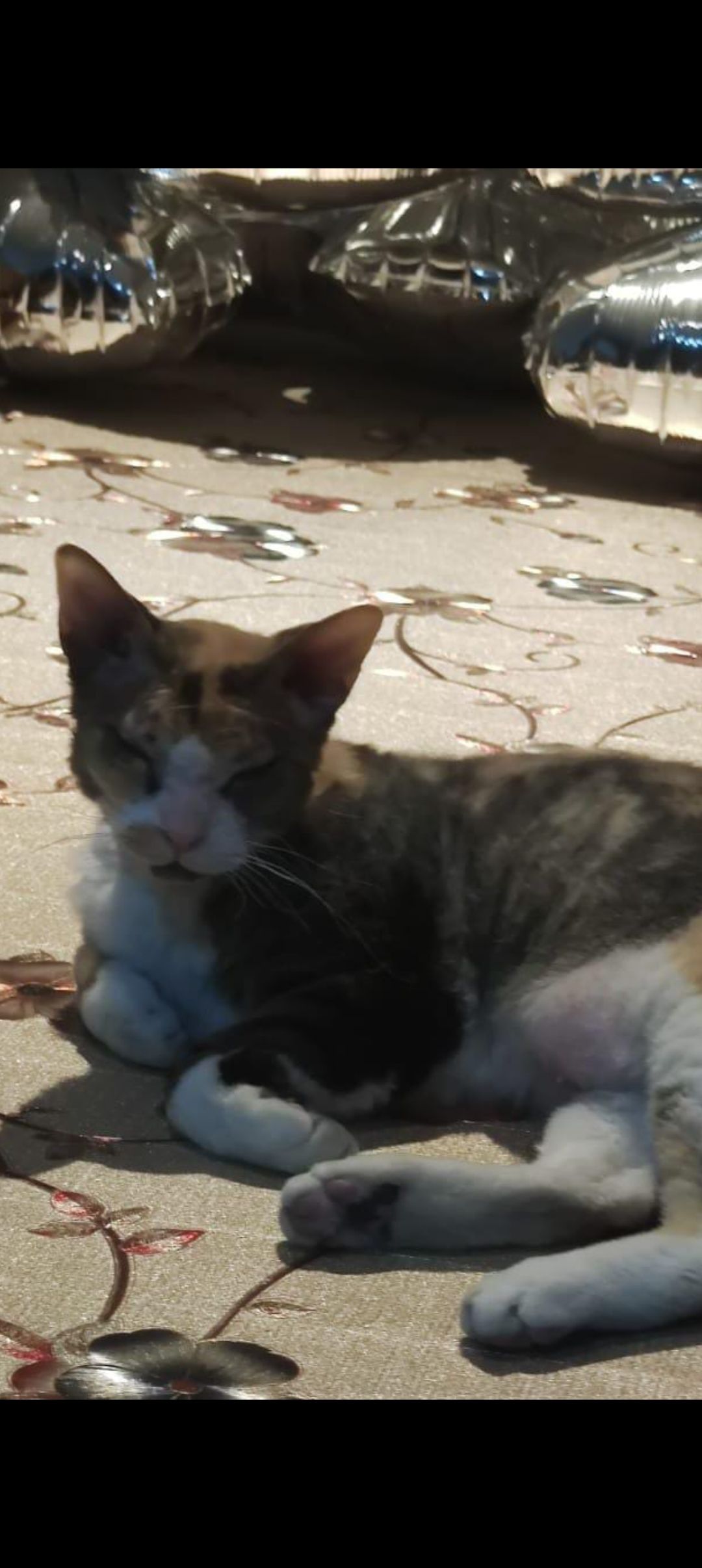 Misi - Calle del Río Henares, Torrejón de Ardoz