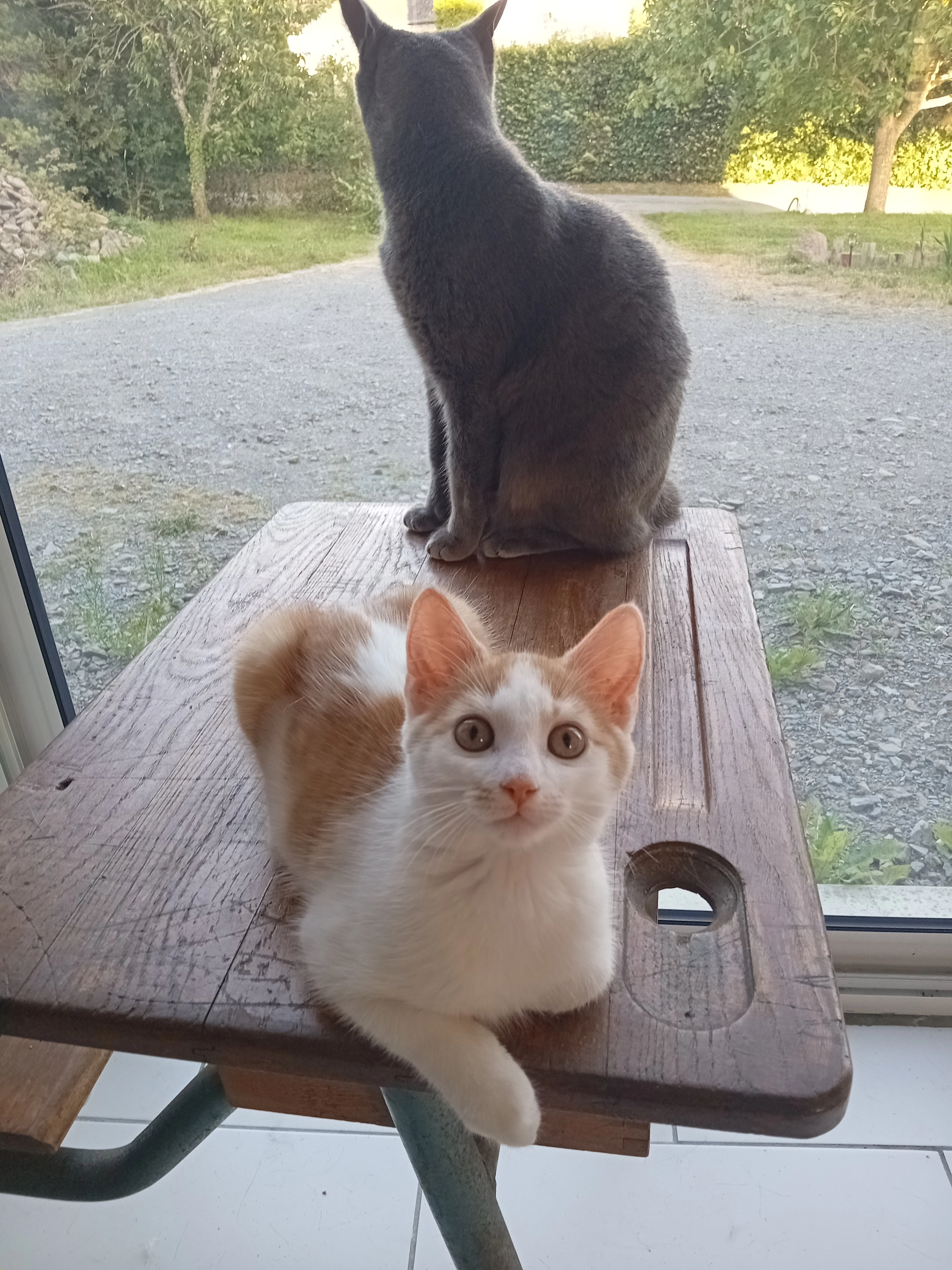 flash - Impasse Le Grand Bois, Fourneaux