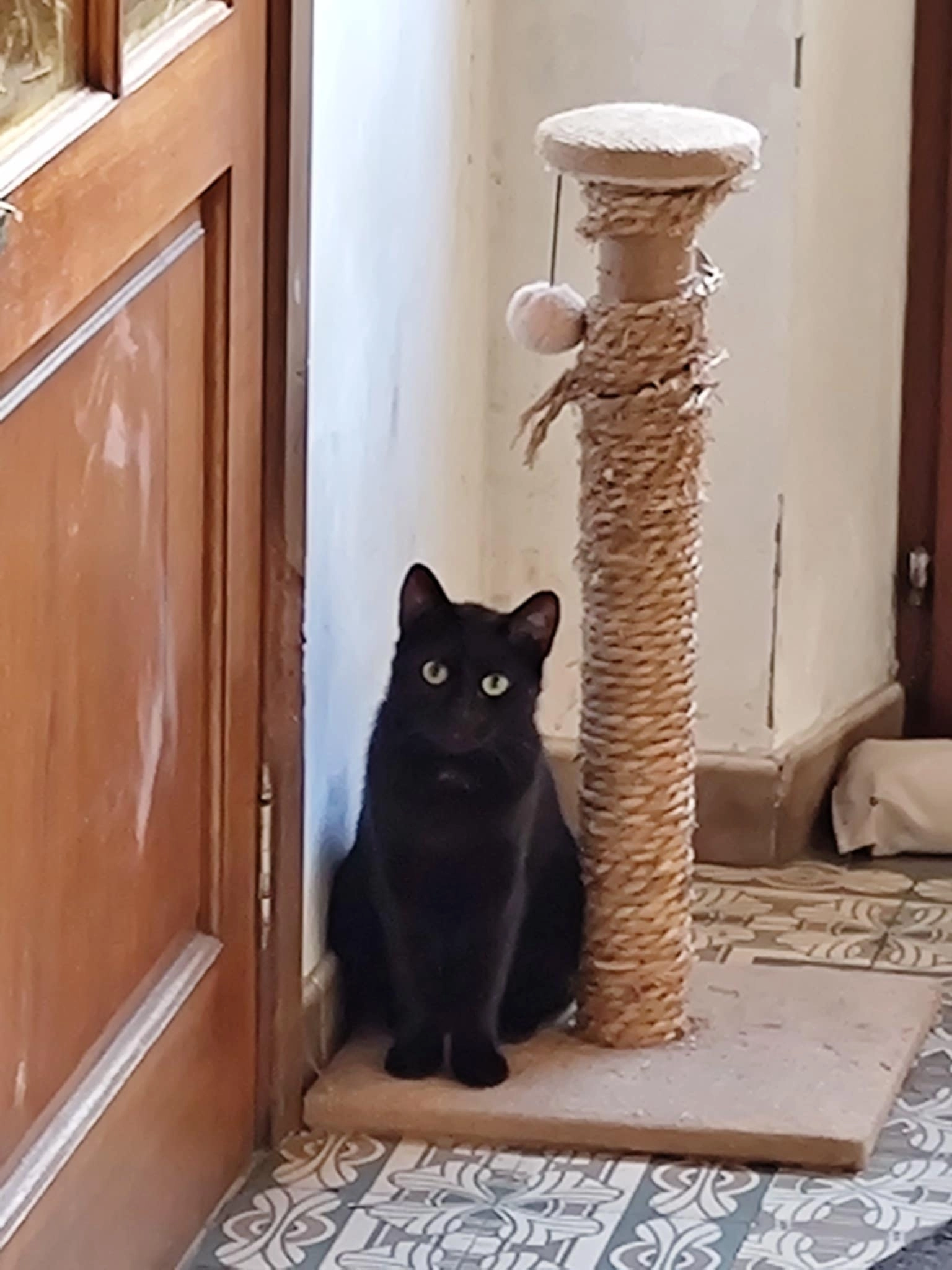 Suzy - Chemin du Bowy, Sivry-Rance