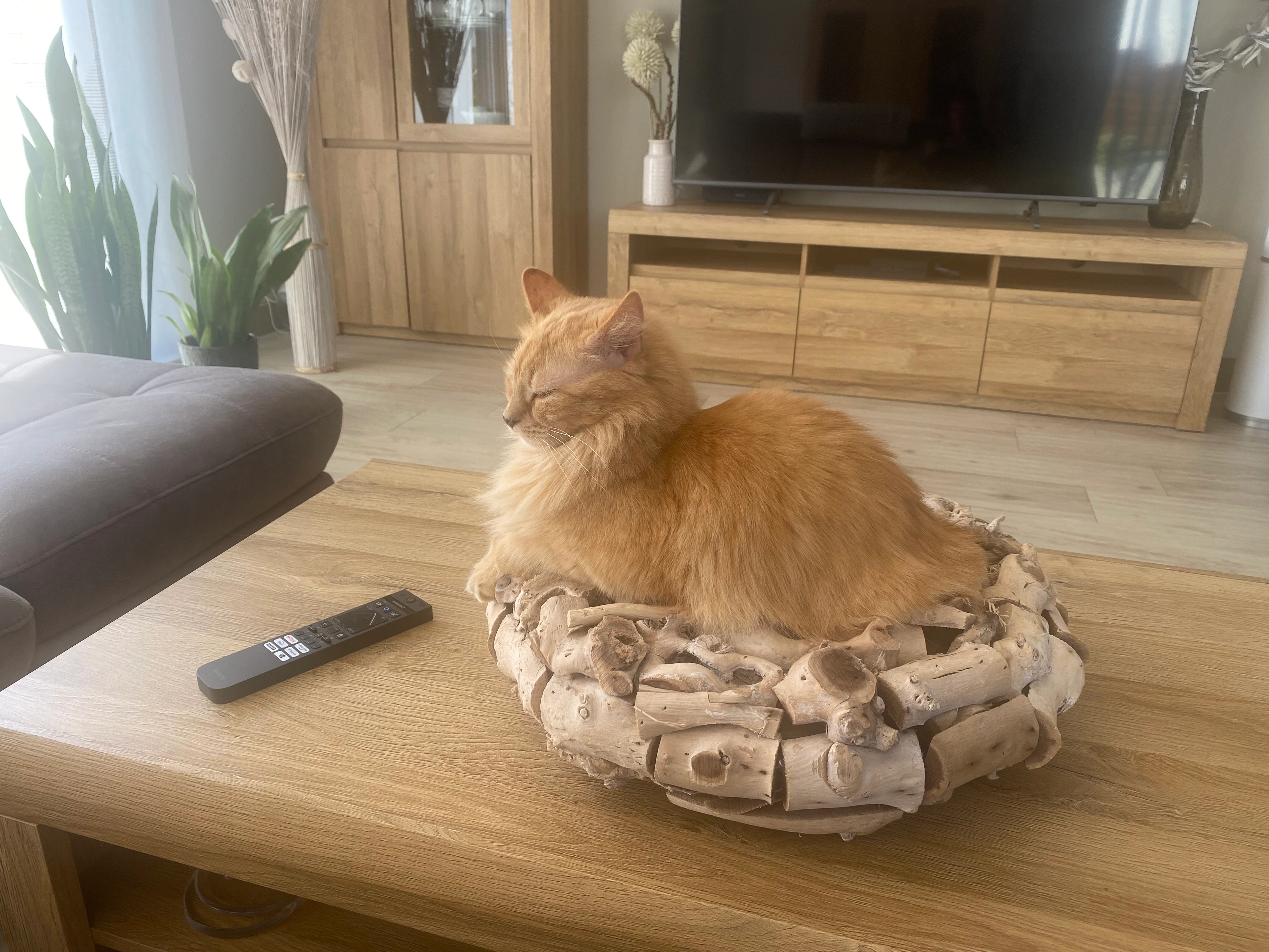 Mogli - 9 Rue des Romains, Breistroff-la-Grande