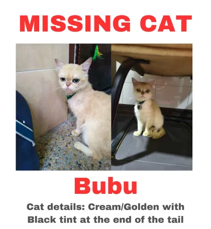 Bubu - 81300, Johor Bahru