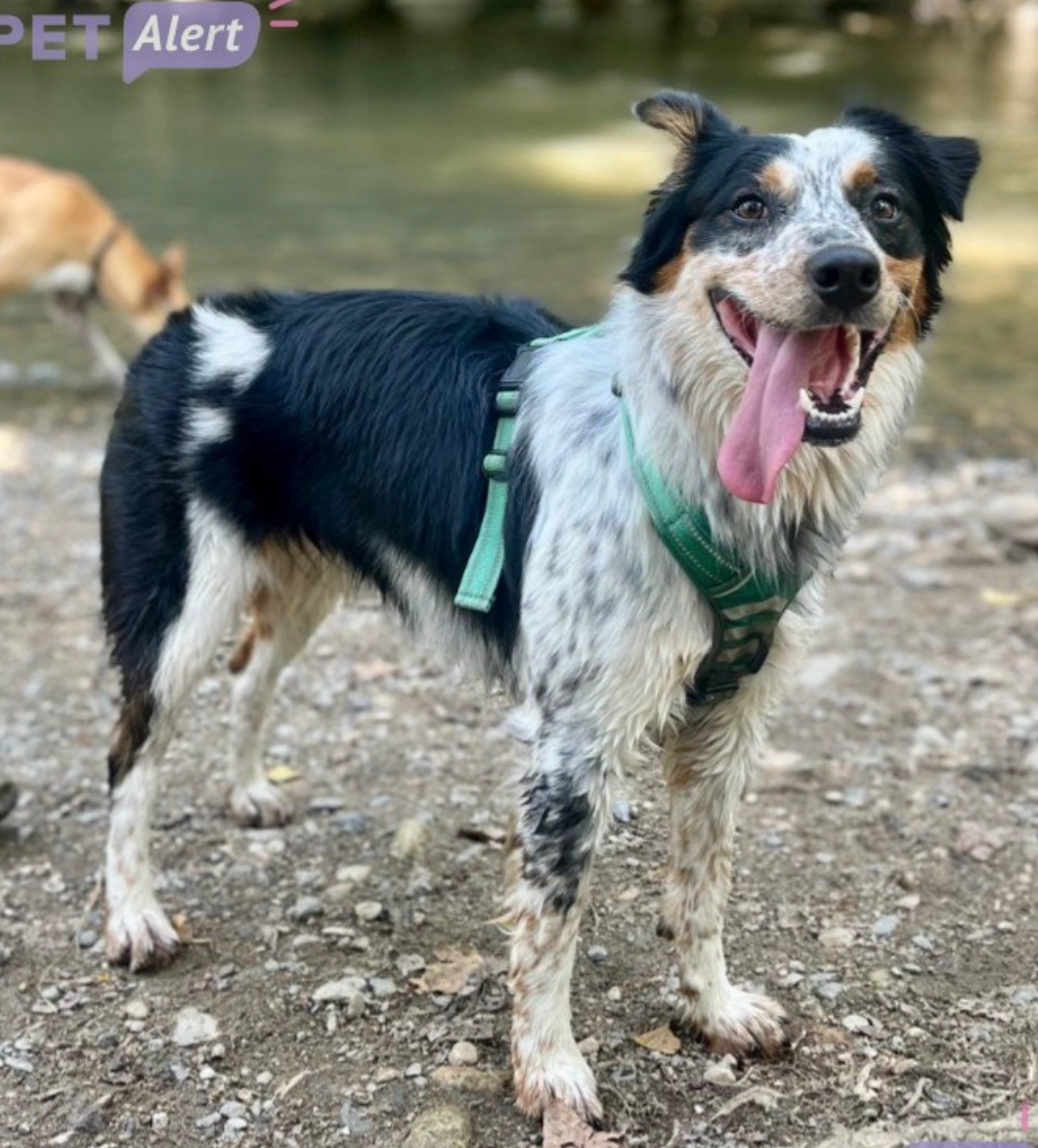 keeper - Chemin de Gaillagues, Albi