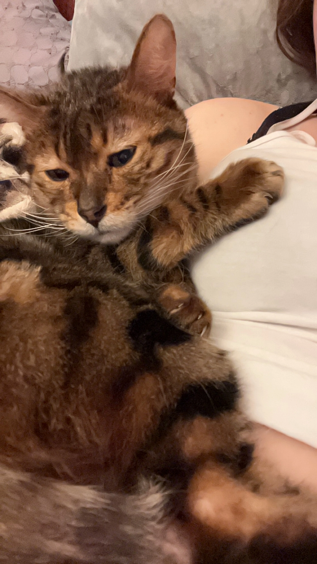 Passi - Oberanger, Grafing bei München