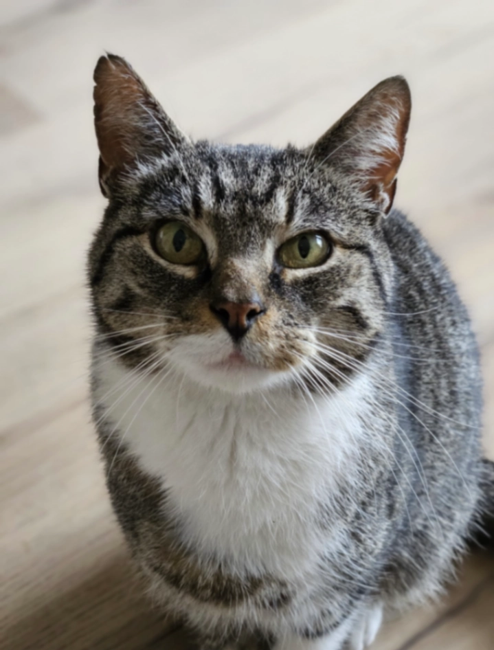 James - Aan de Zoom, Uithoorn