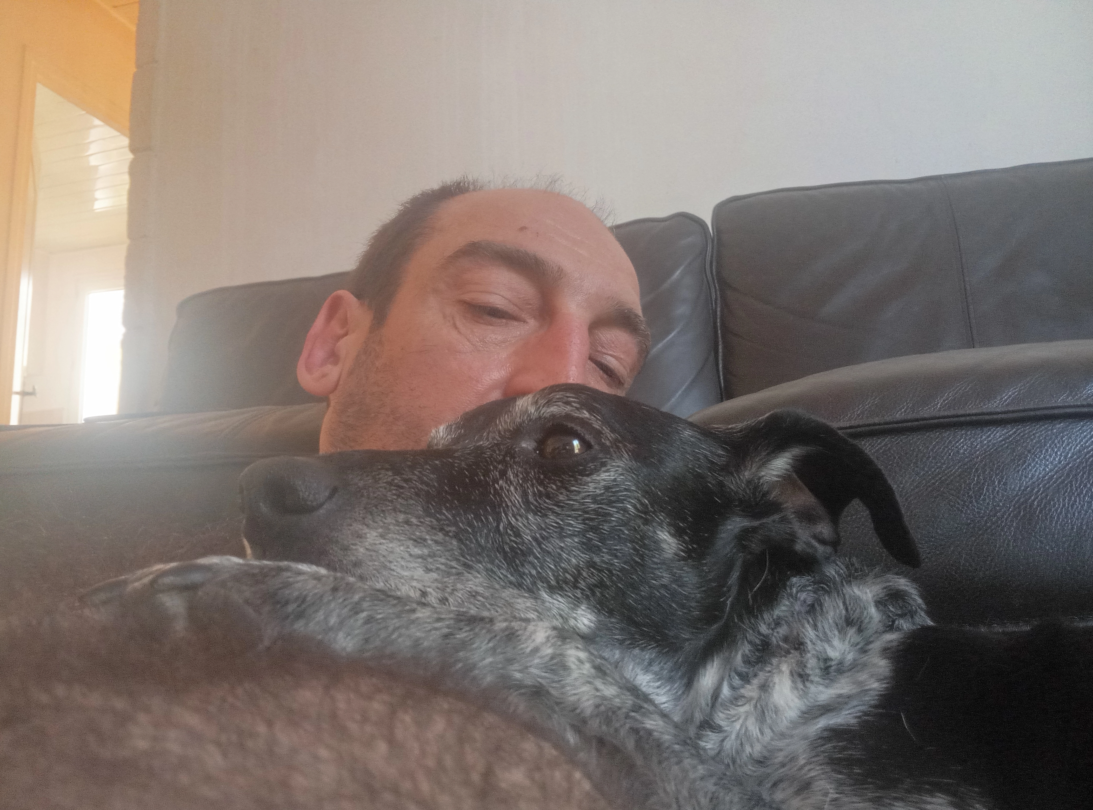 Jungle - 174 Avenue des Olives, Marseille