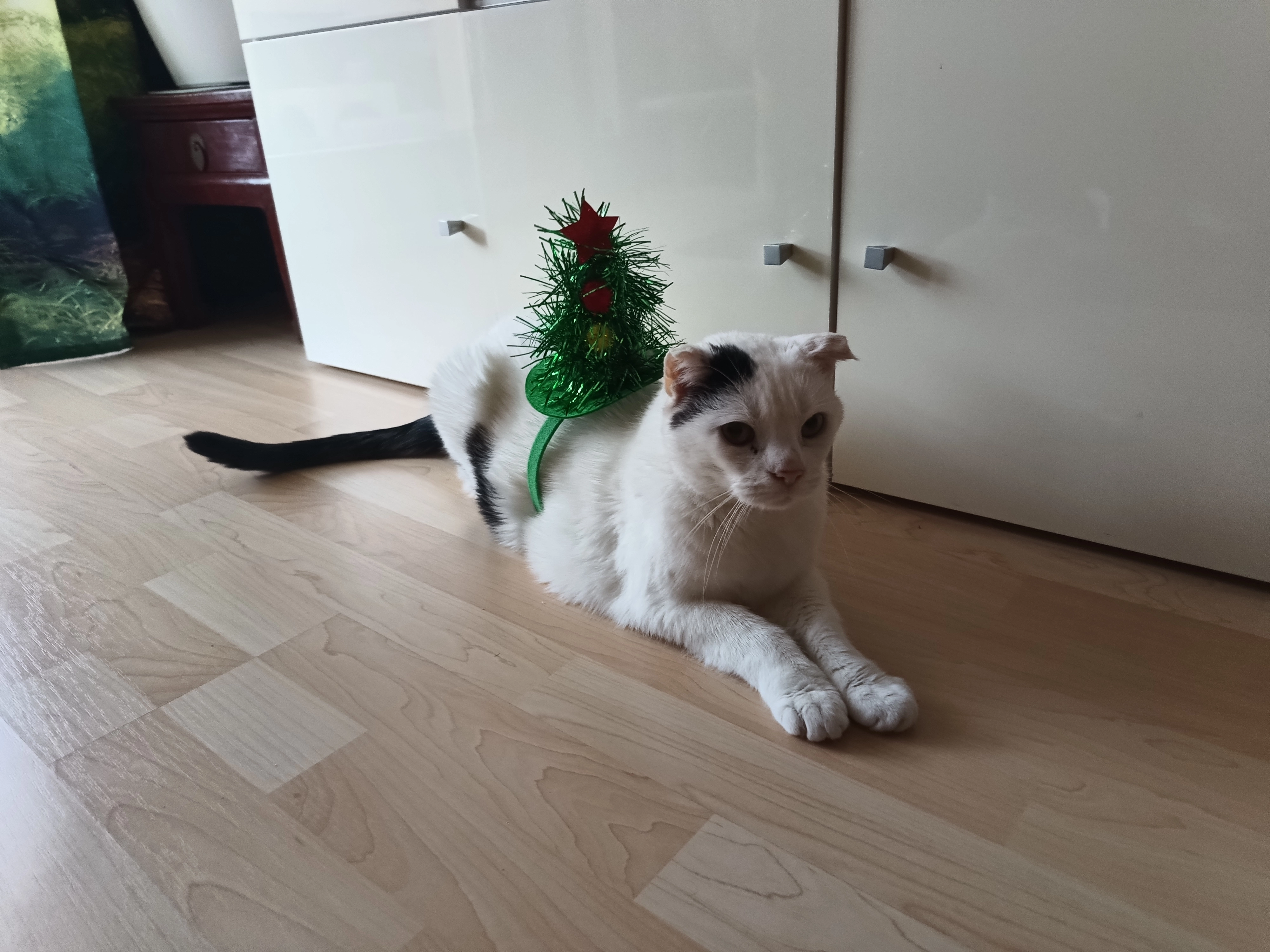 Pepe - Moosglöckchenweg 3, Potsdam