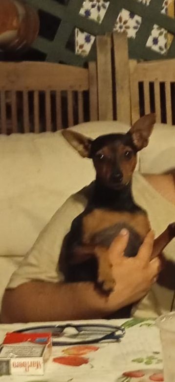 Cata  - Tn Ue-Ro-08(El Romeral), Alhaurín de la Torre