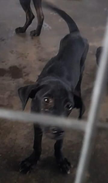 进宝 - 81750, Masai