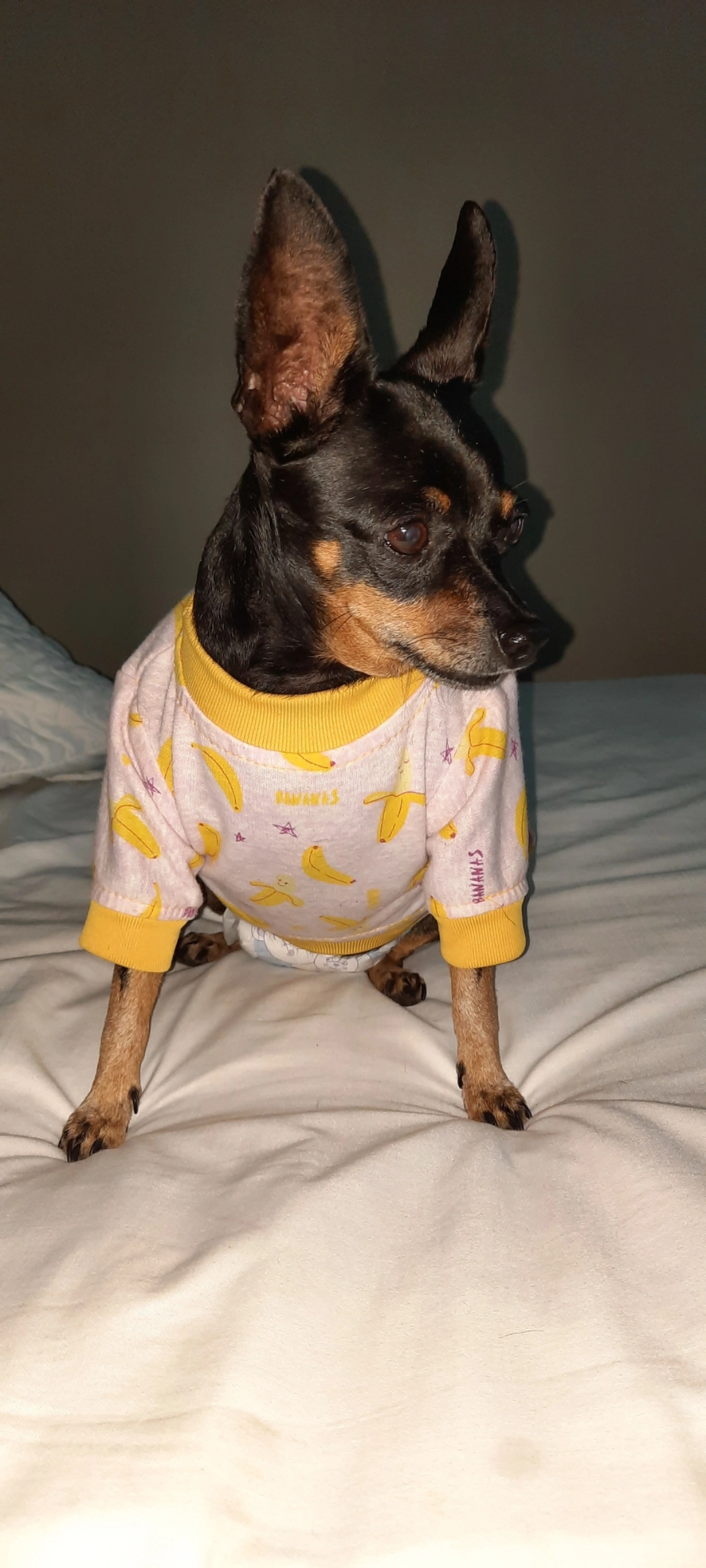 Minni - Avenida Las Marinas, Mojácar