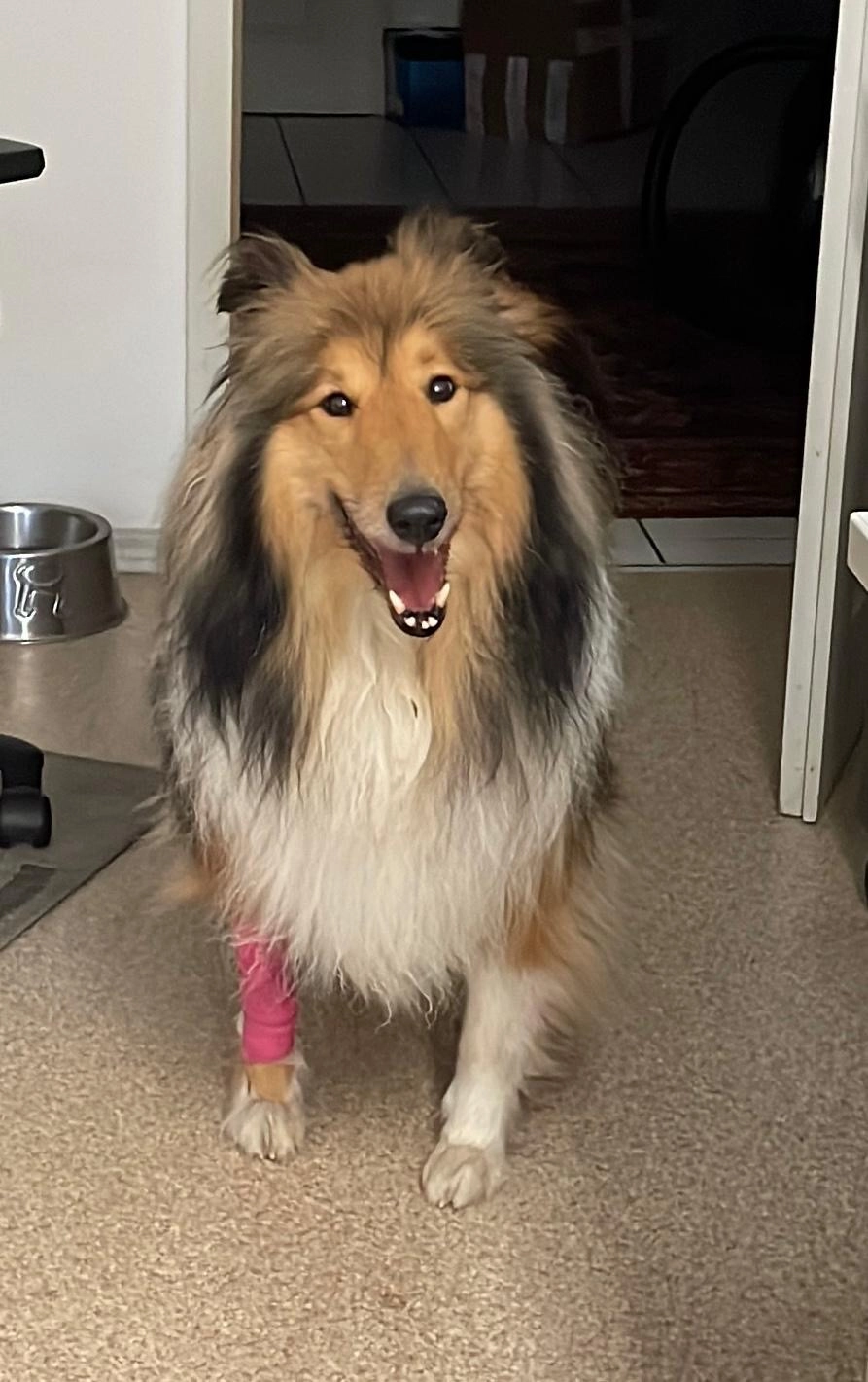 Finn - Oberschilding, Palling