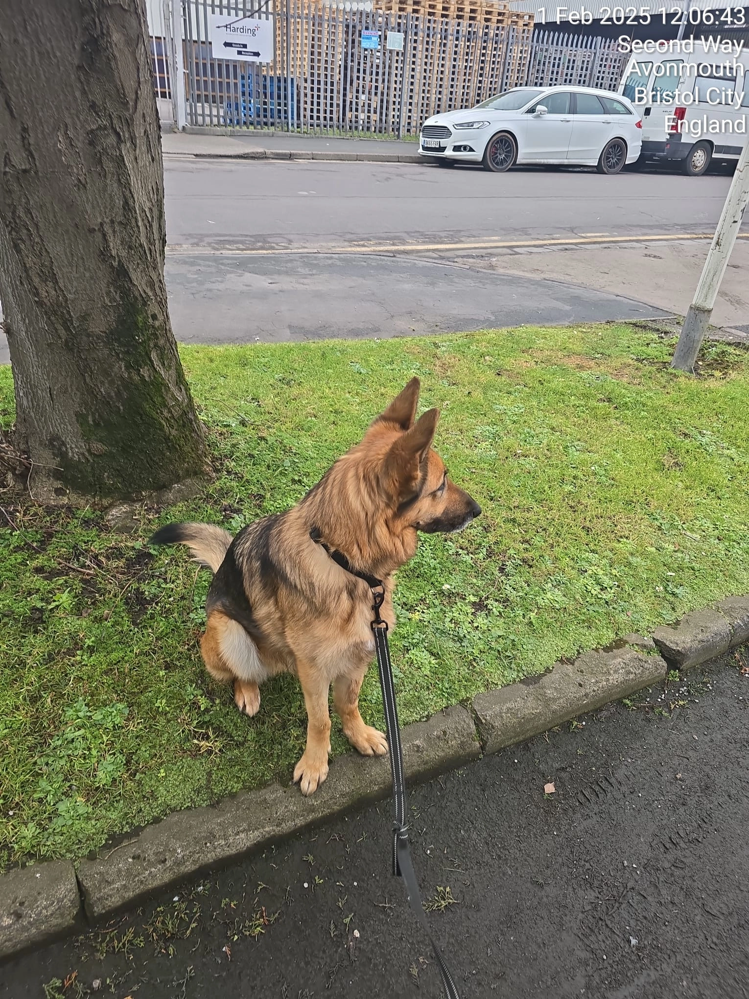 Loona - Landsdown Drive, Northampton