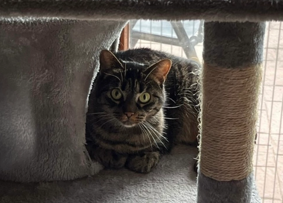 Mucki - Beunestraße, Alzenau