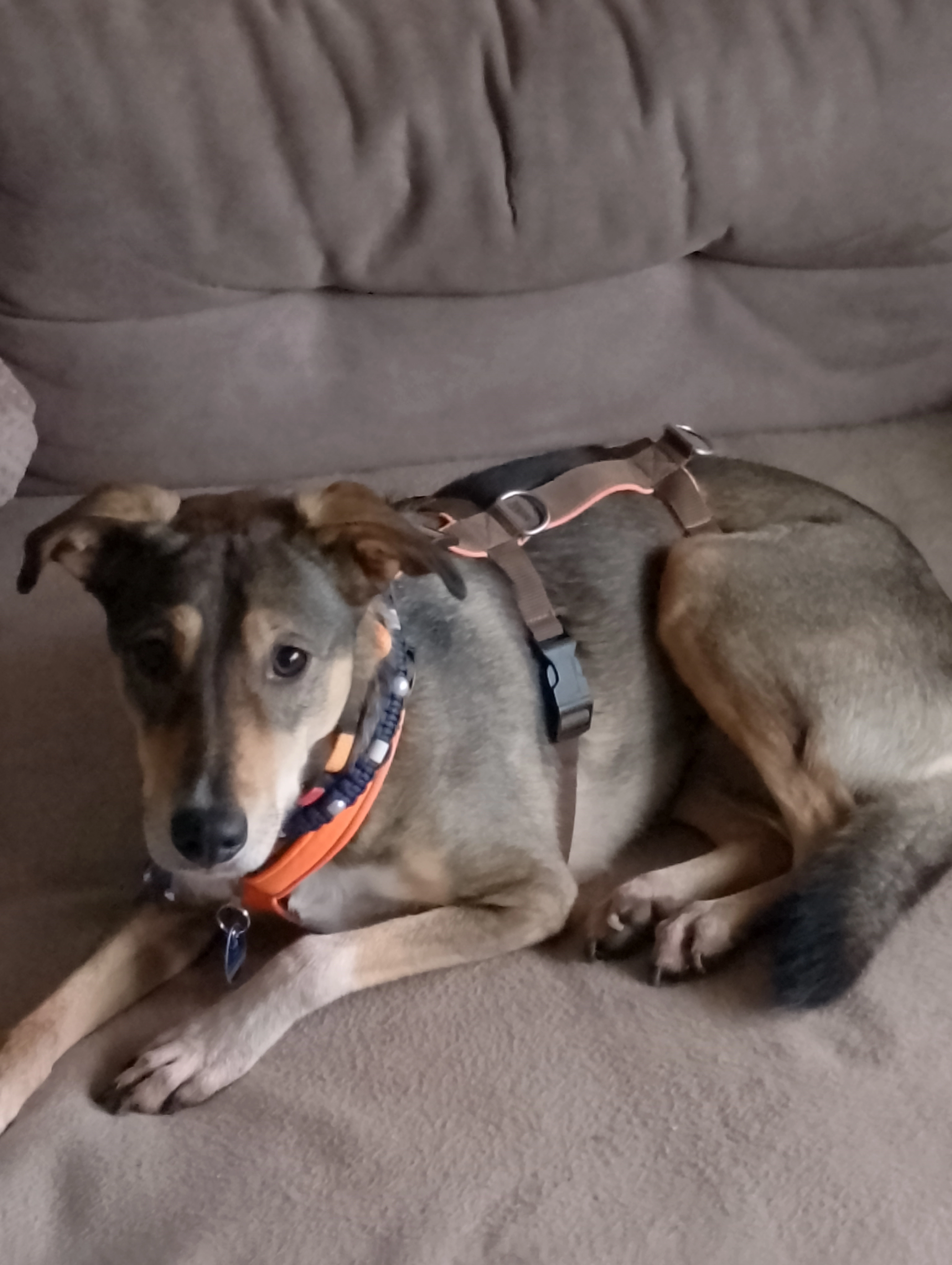 Tama - Ostweg, Schwalmstadt/ Treysa