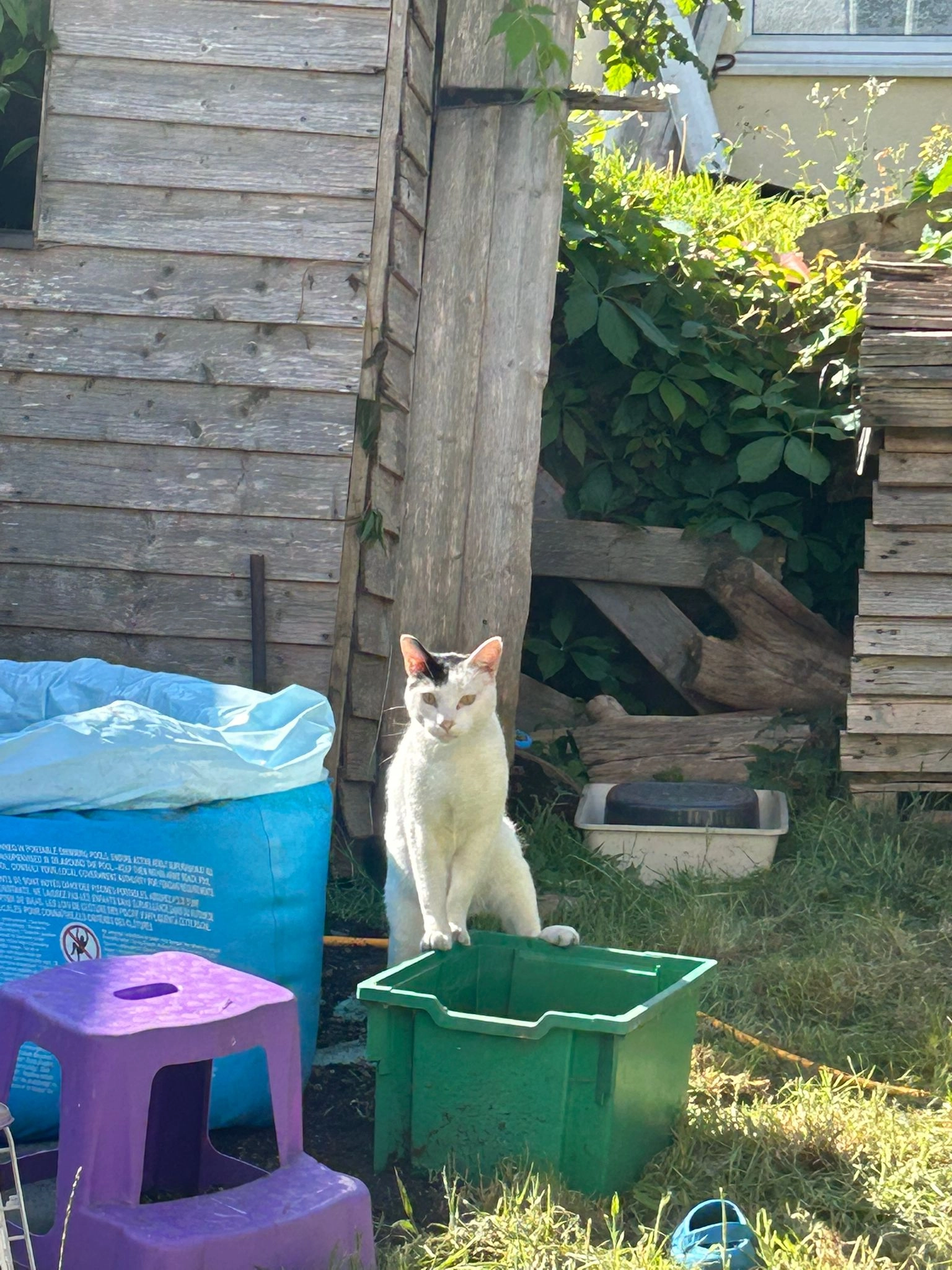Donvi - Braemar Avenue, Bristol