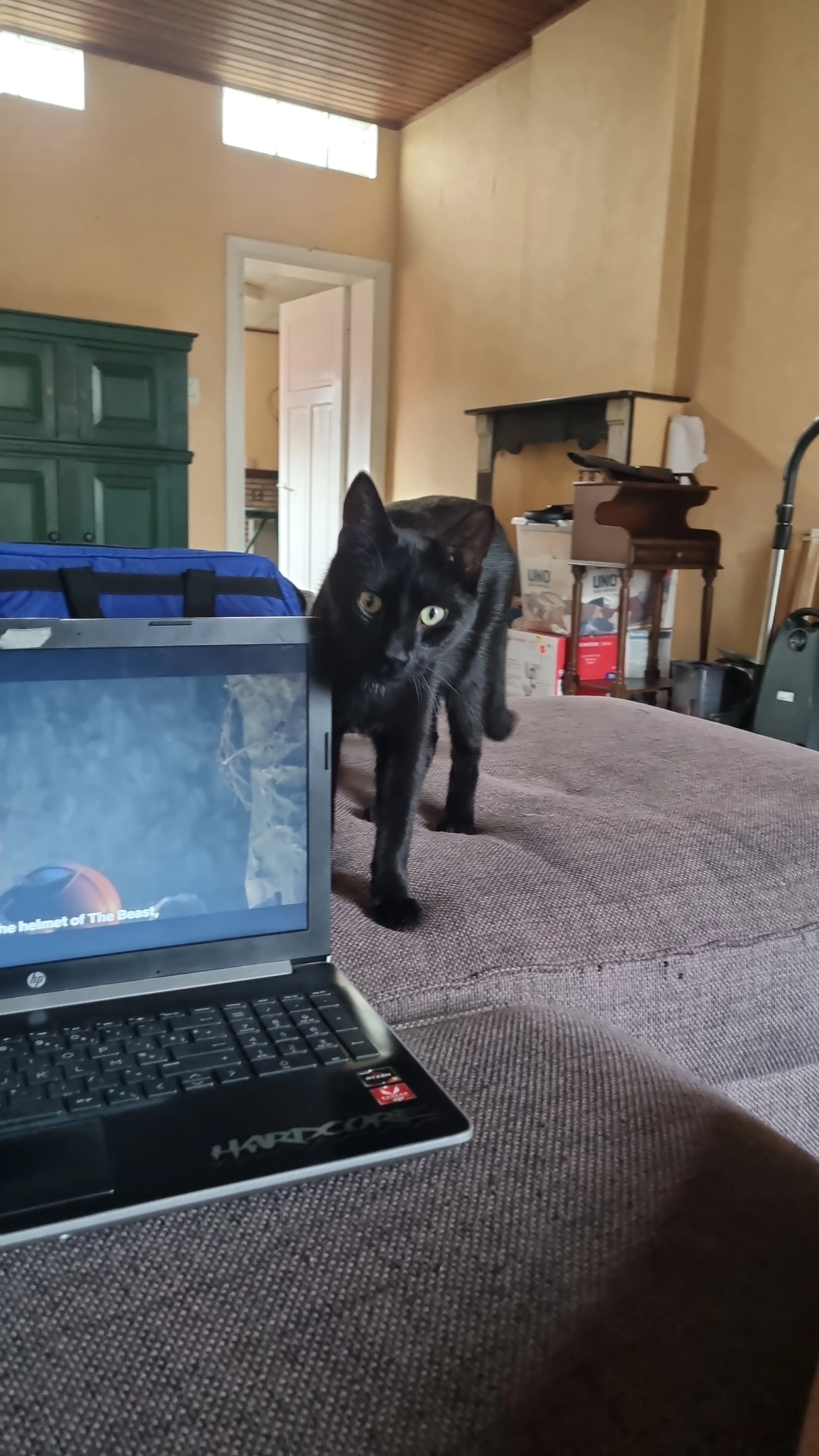 Pinch - Vinkaertstraat, Kortemark