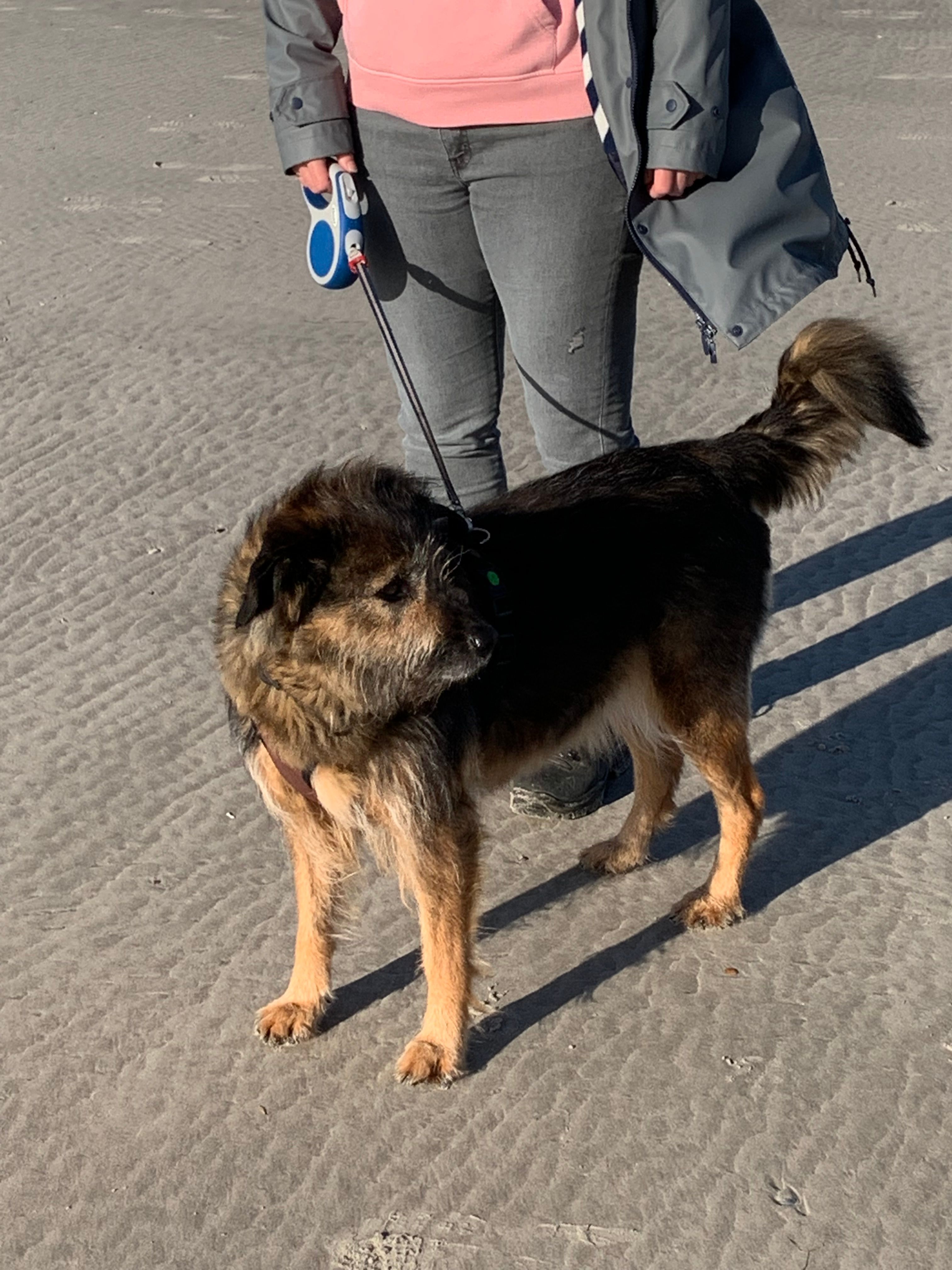 Amy - Gerdener Straße, Melle