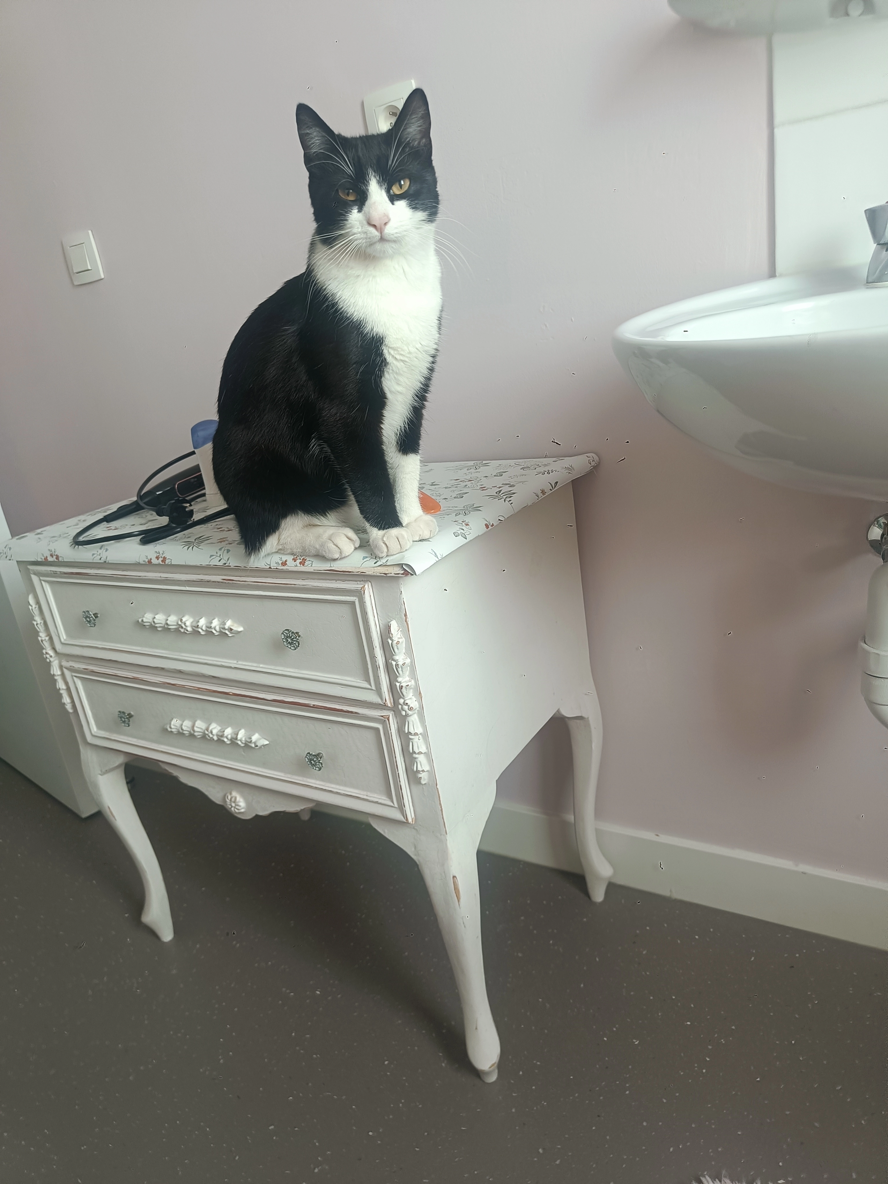 Minou - Torenlaan, Genk