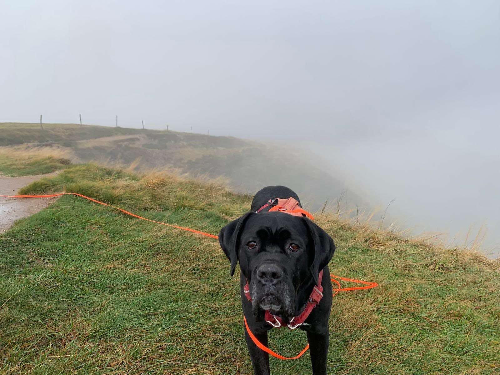 Zeus - Promenade Circulaire, Kintzheim