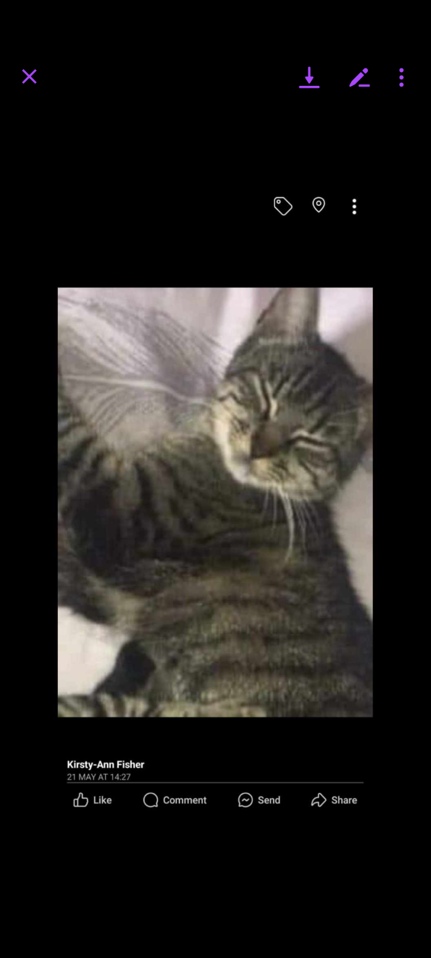 Rosie - Drumley Drive, Mossblown