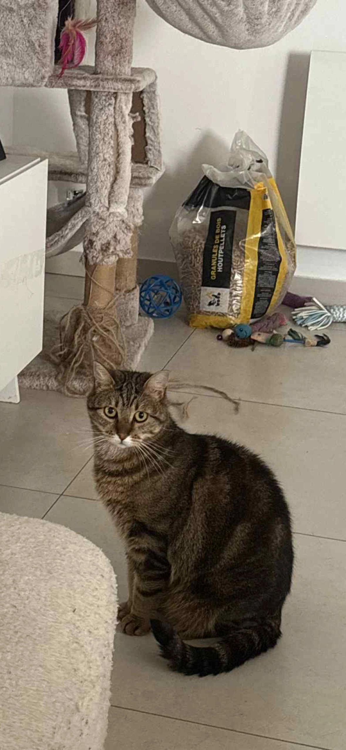 Ulya  - Chemin De Meulestraete, Linselles