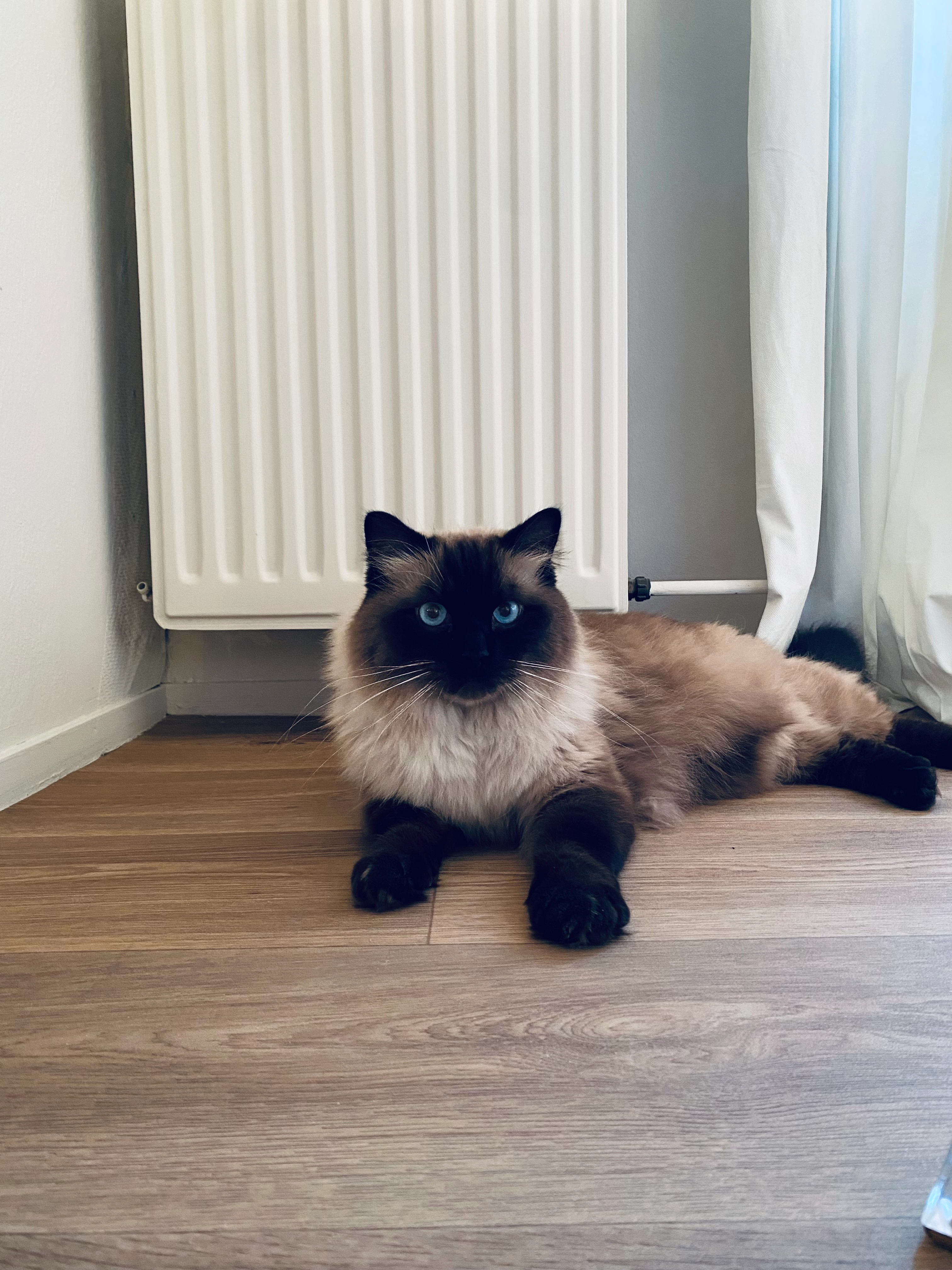 Poes  - N-340a, Tabernas