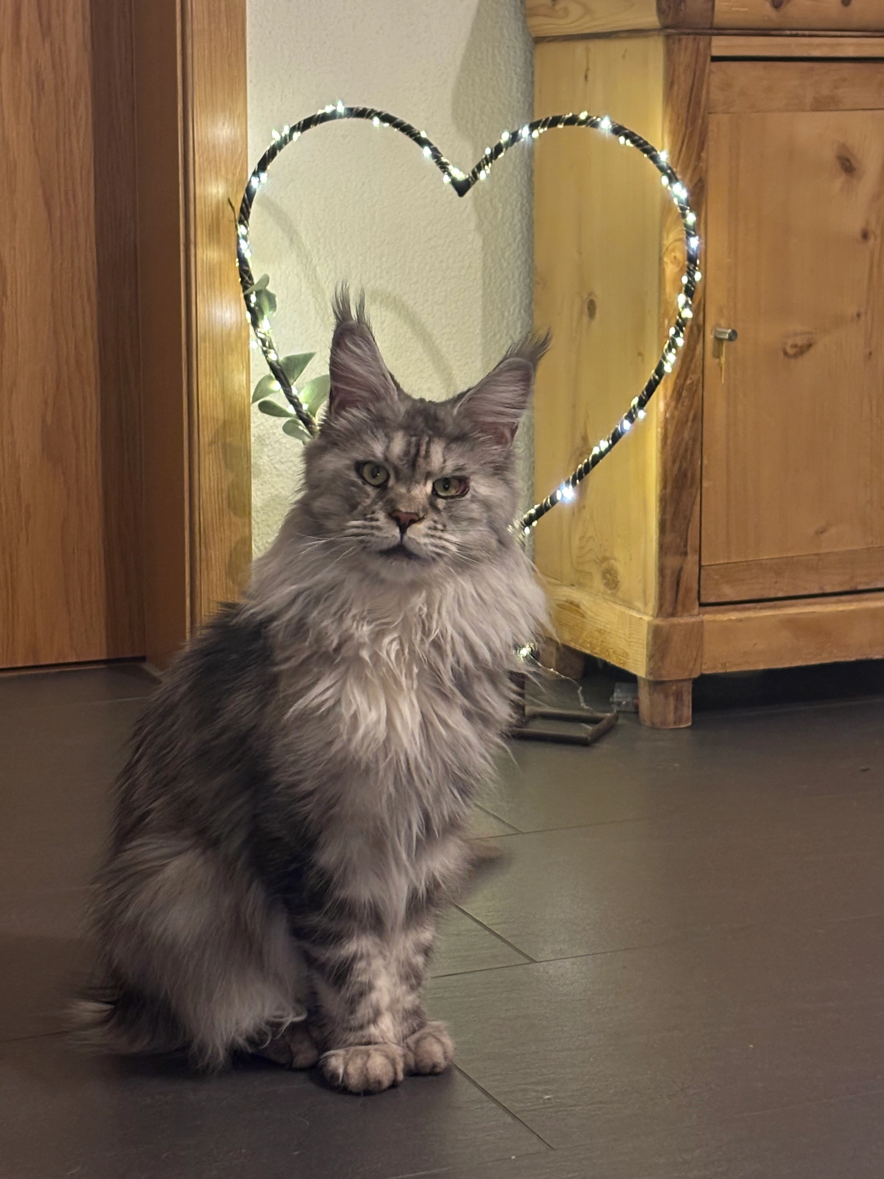 Sammy - Im Seeblick 8, Schmerikon