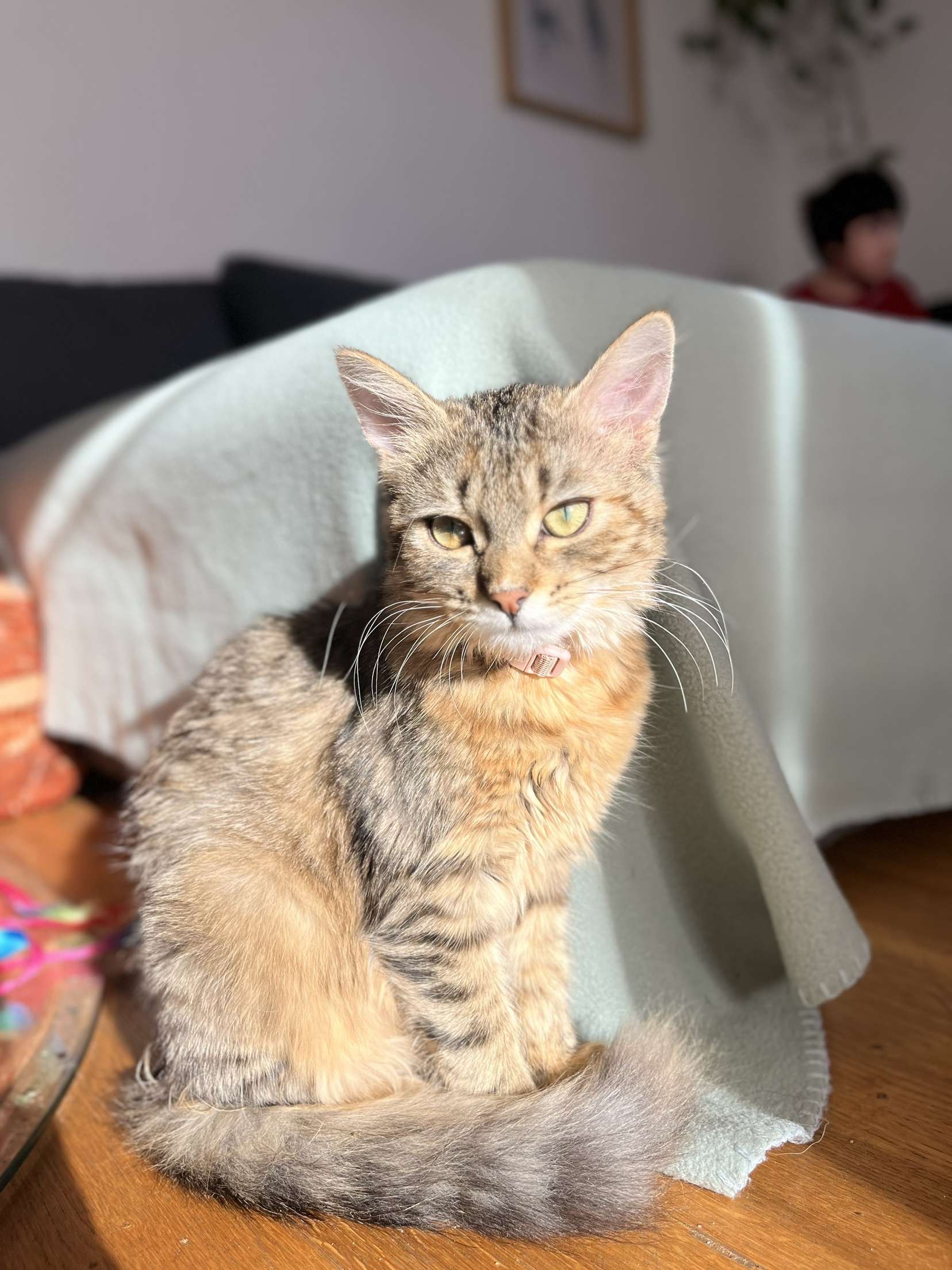 Milly - Ortsstraße, Nördlingen