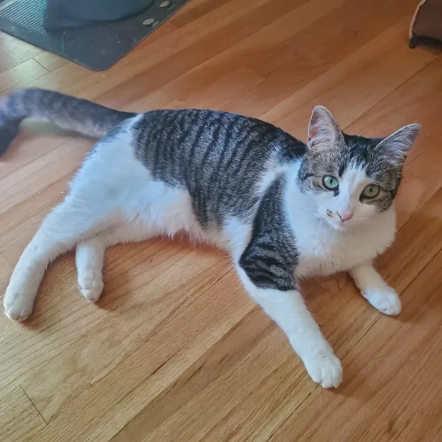 Rosie - SW Ida St, Seattle
