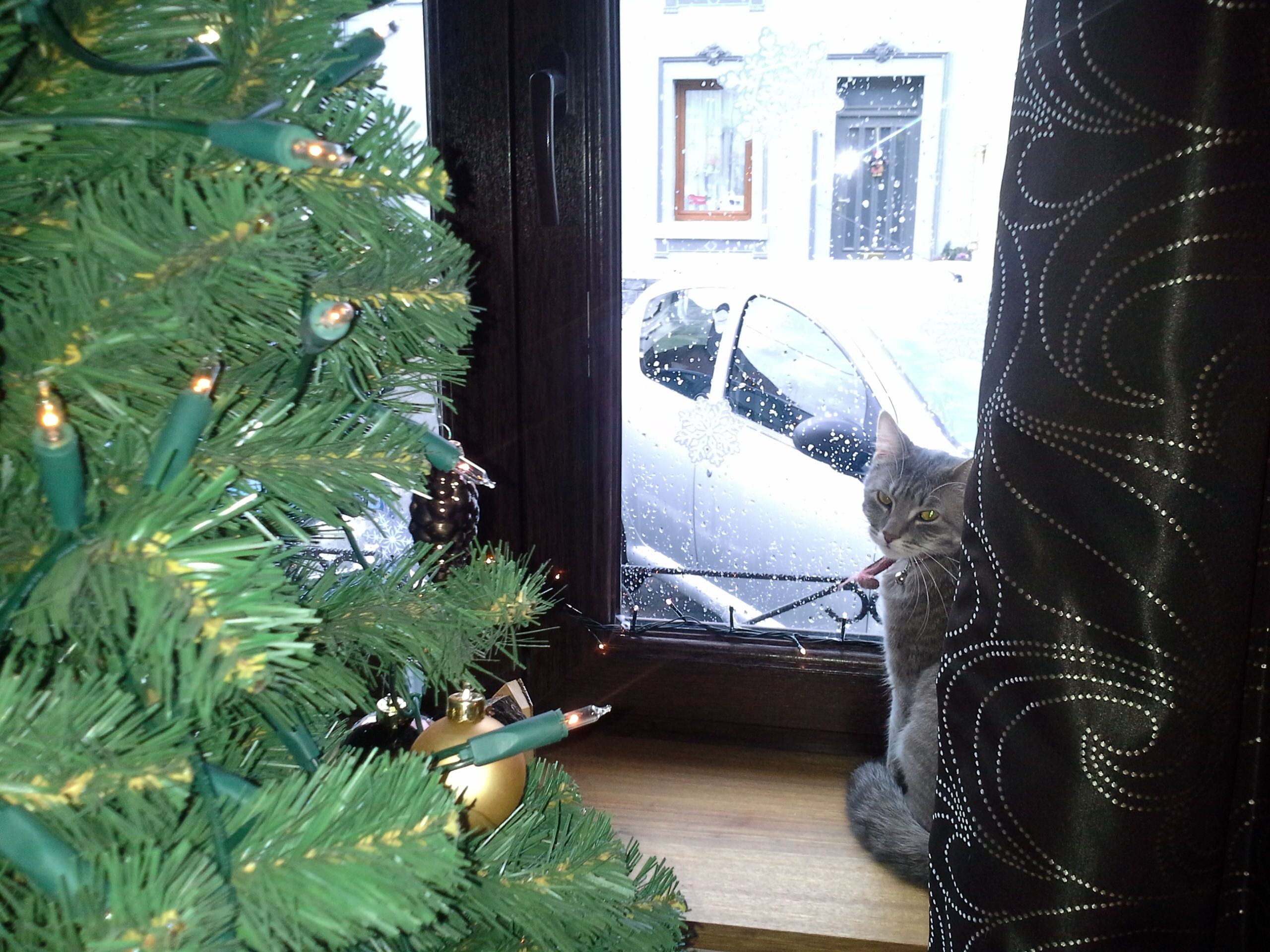 Cléo - Rue Saint François 7, Yvoir