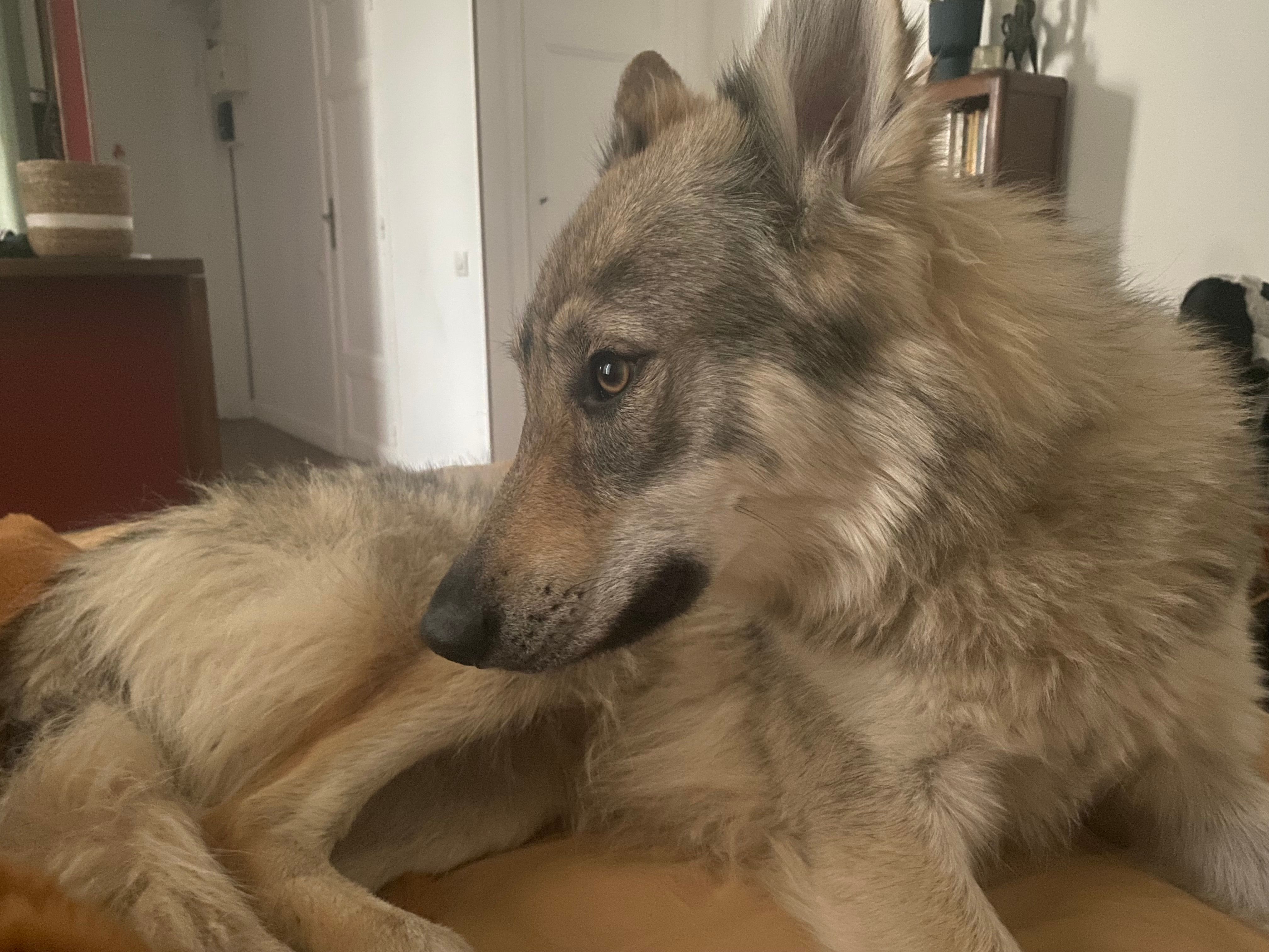 Hima - 13 Rue aux Canes, Lainville-en-Vexin